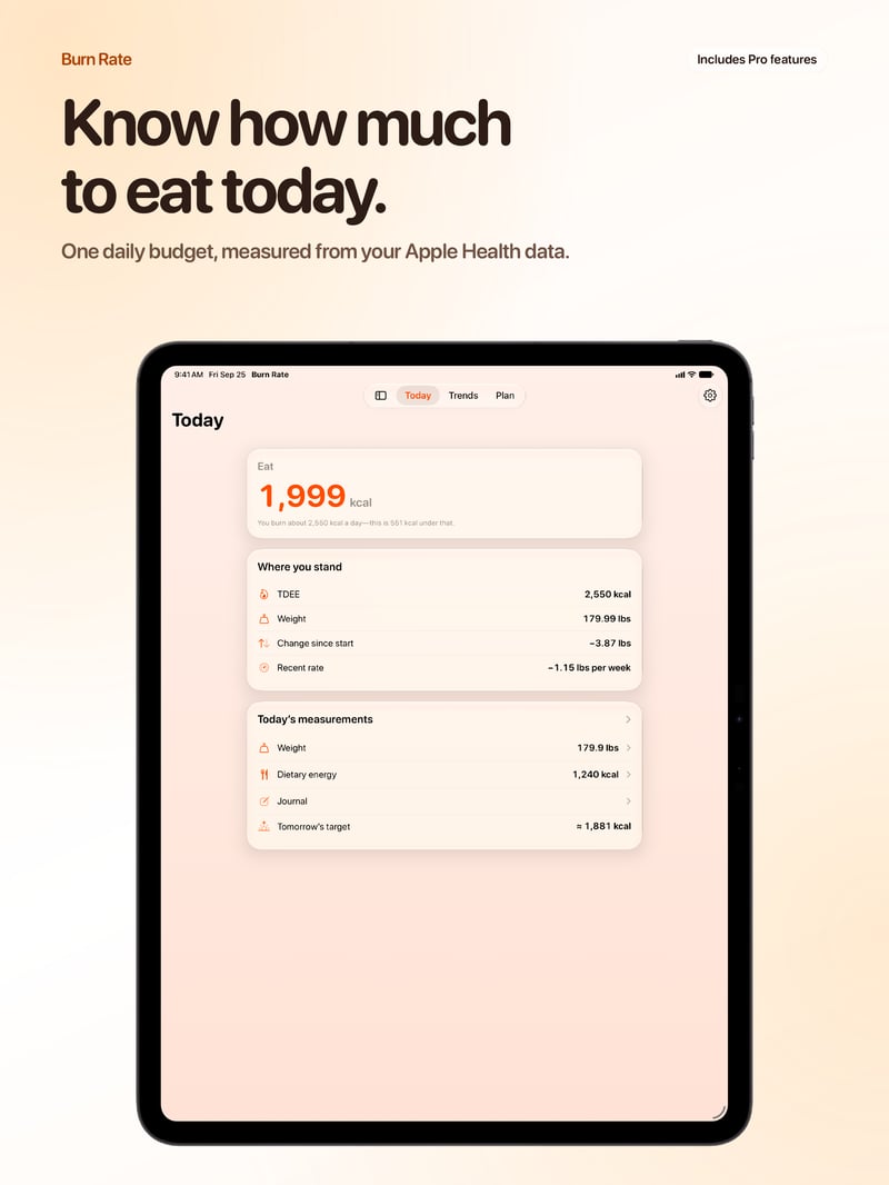 Burn Rate App Store screenshot for iPad Pro 13-inch showing Daily Target.