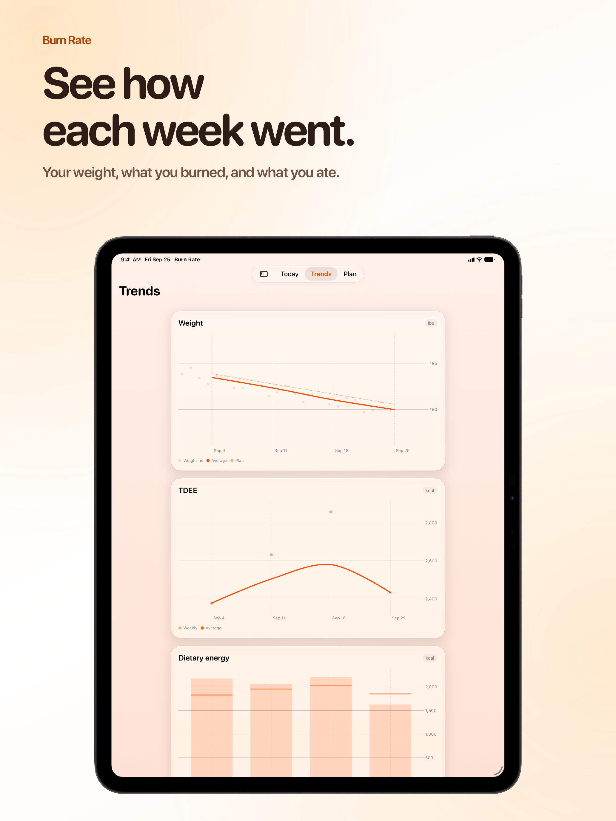 Burn Rate App Store screenshot for iPad Pro 13-inch showing Intake Target.