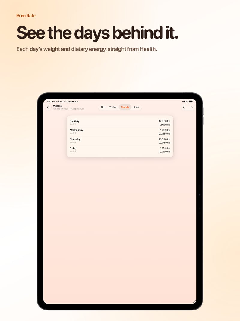 Burn Rate App Store screenshot for iPad Pro 13-inch showing Weekly Detail.