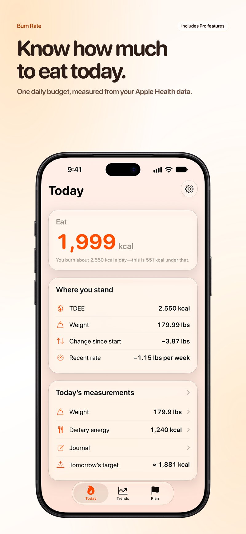 Burn Rate App Store screenshot for iPhone 18 Pro Max showing Daily Target.