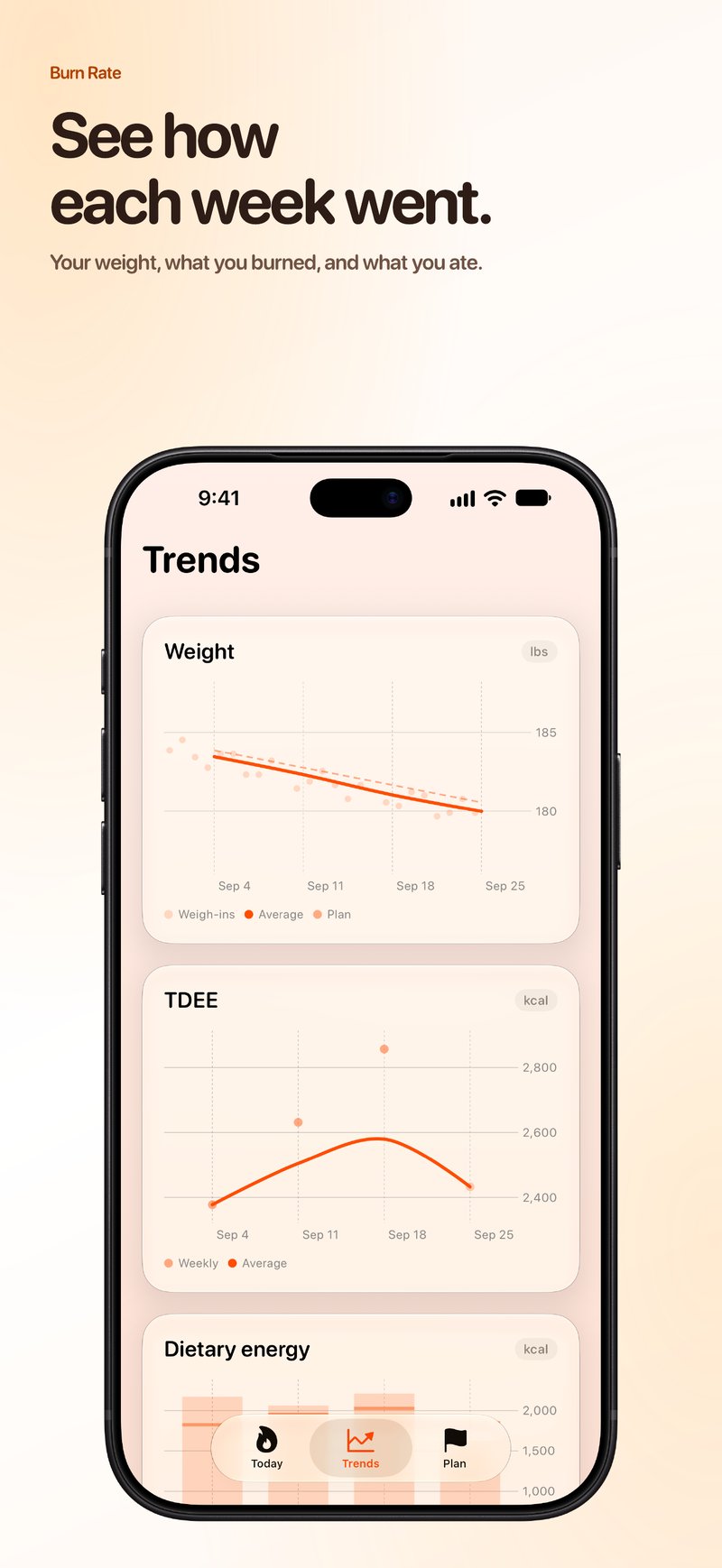 Burn Rate App Store screenshot for iPhone 18 Pro Max showing Intake Target.