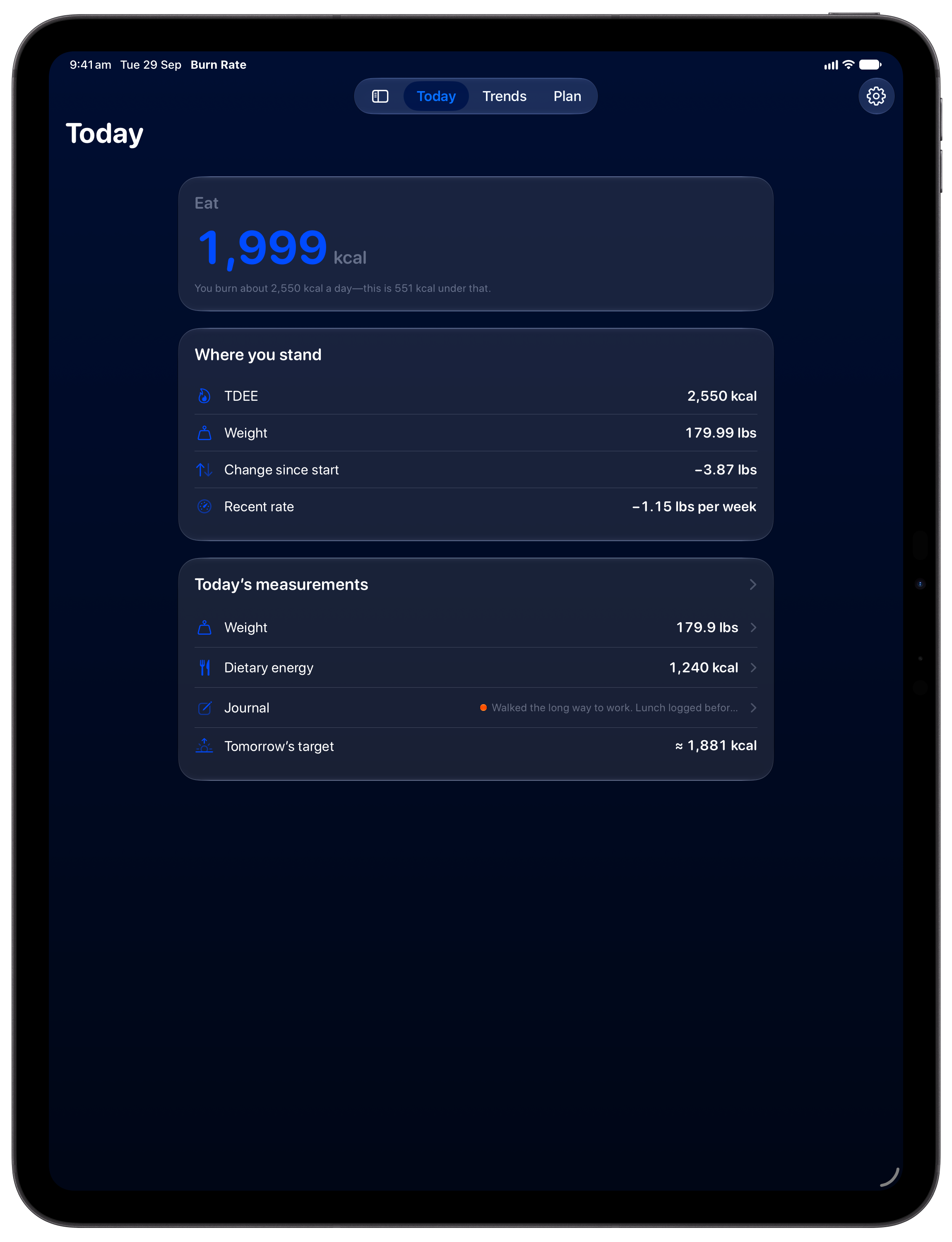 Burn Rate on iPad Pro 13-inch showing Daily Target in the Blue tint, dark appearance.