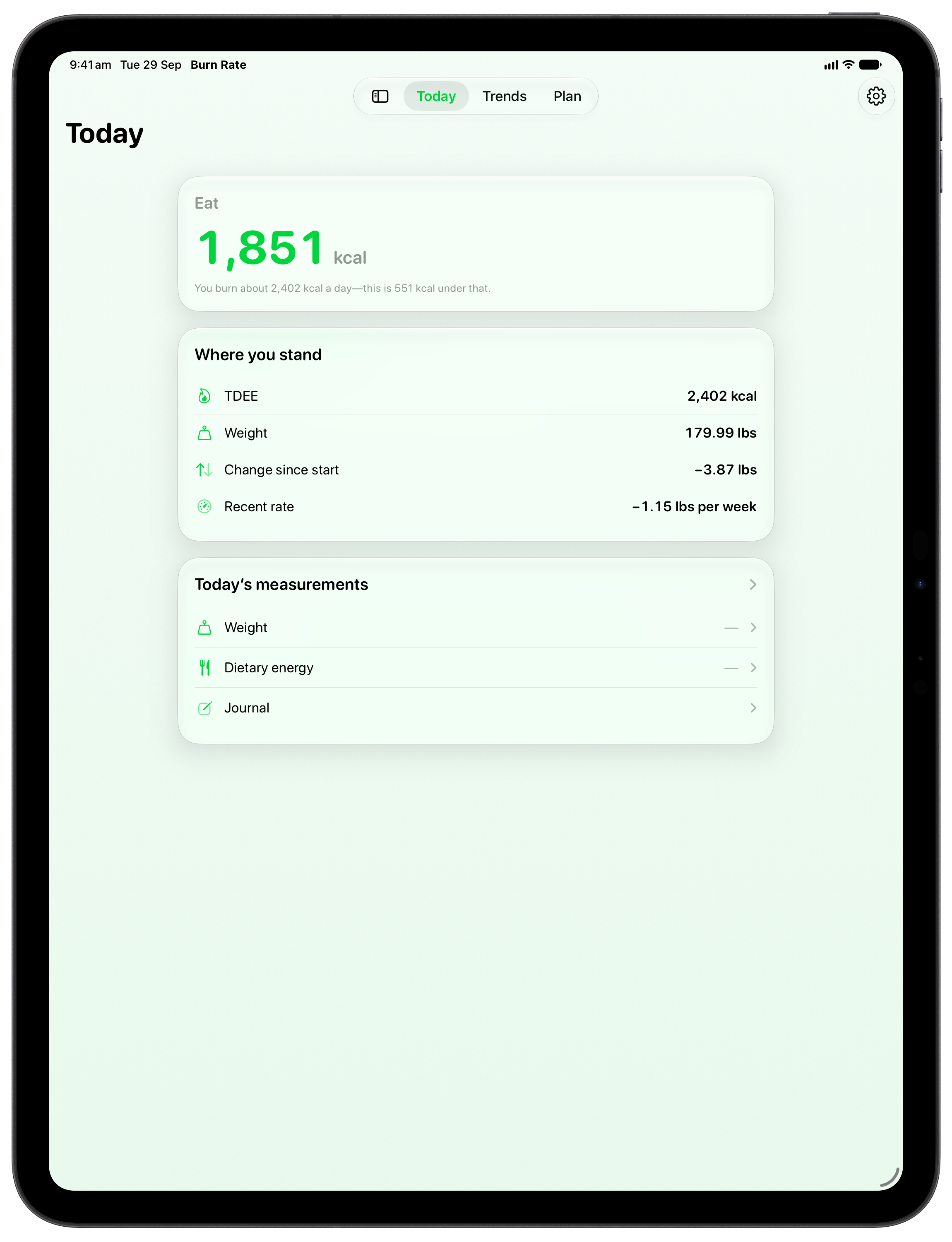 Burn Rate on iPad Pro 13-inch showing Daily Target in the Green tint, light appearance.