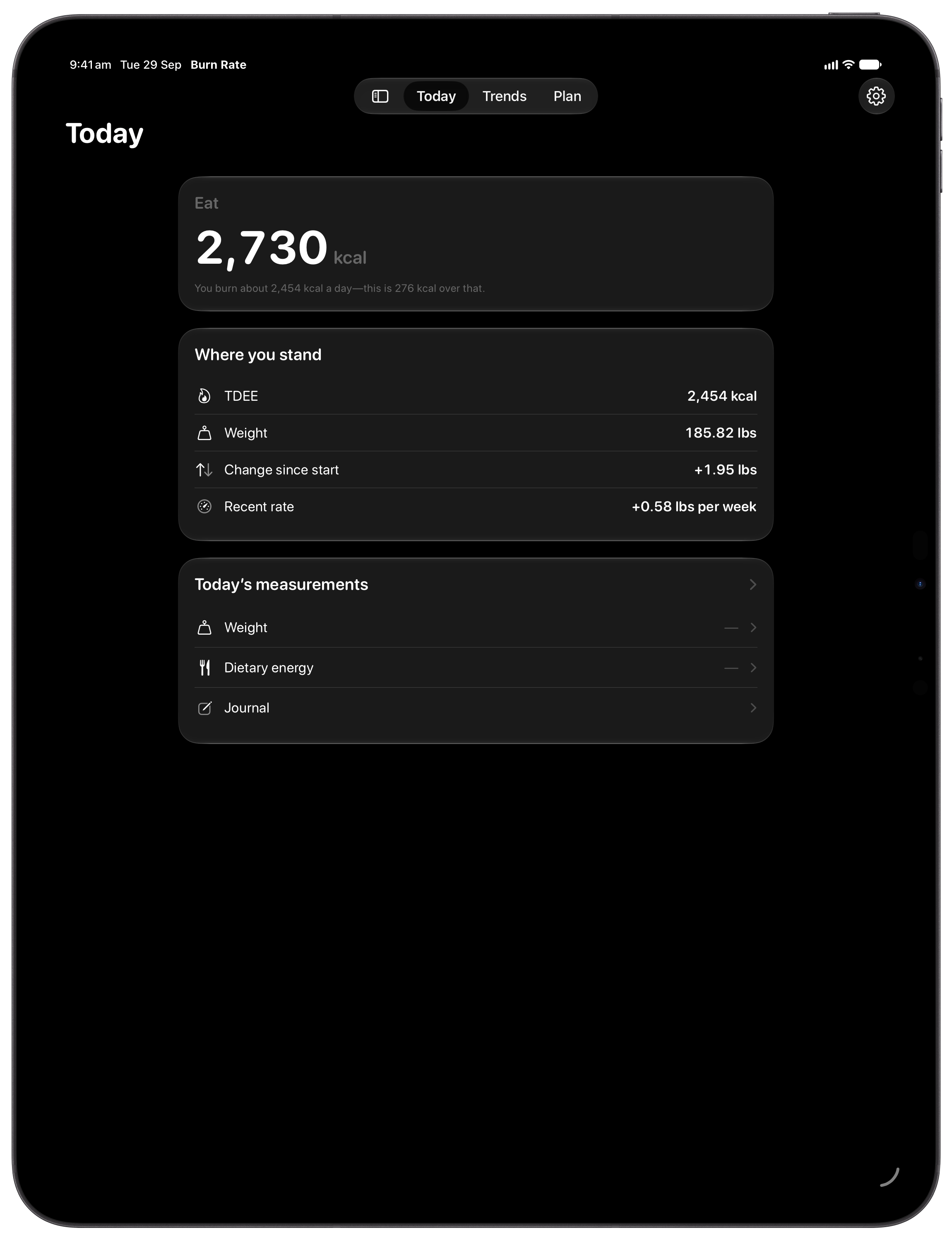 Burn Rate on iPad Pro 13-inch showing Daily Target in the Grey tint, dark appearance.