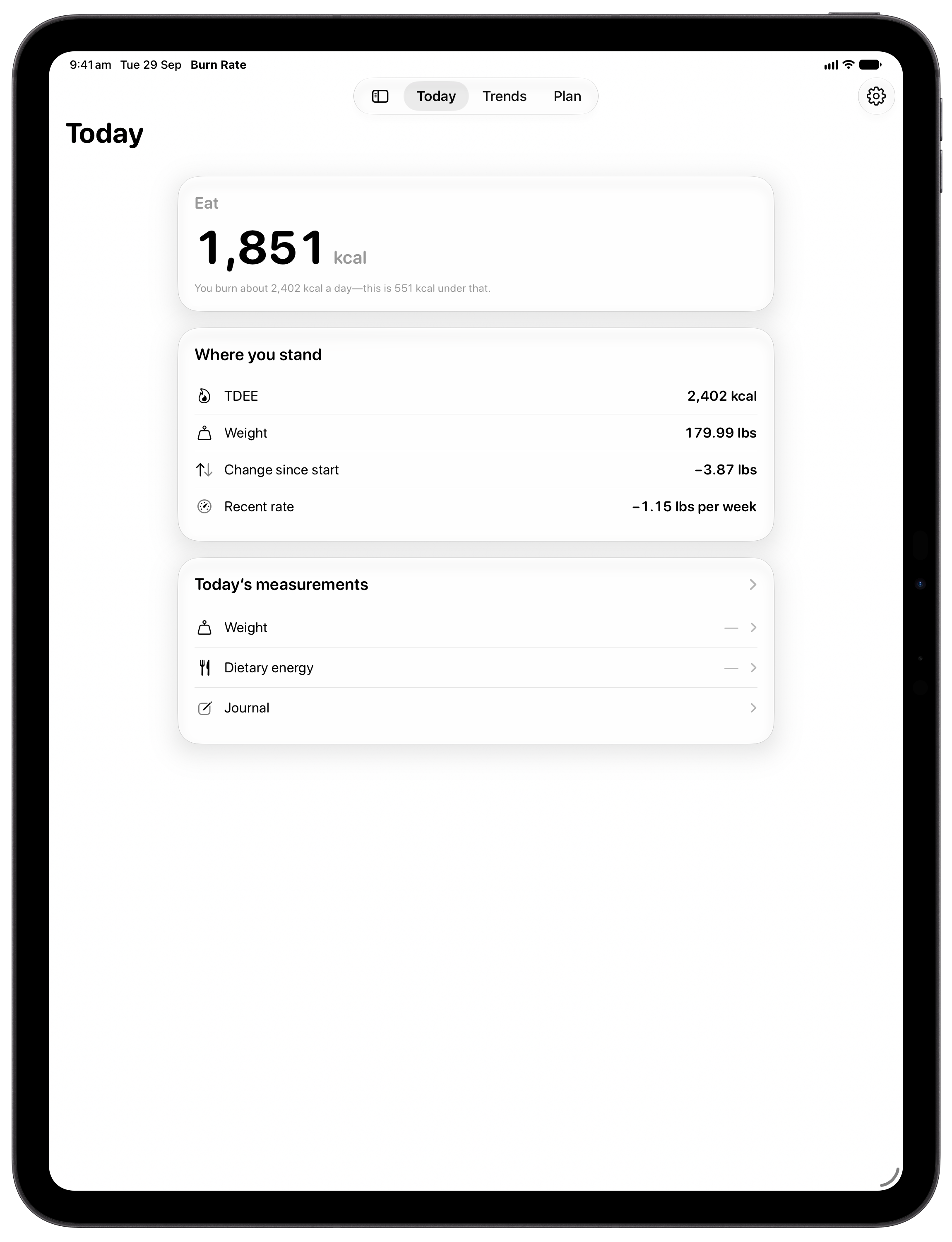 Burn Rate on iPad Pro 13-inch showing Daily Target in the Grey tint, light appearance.