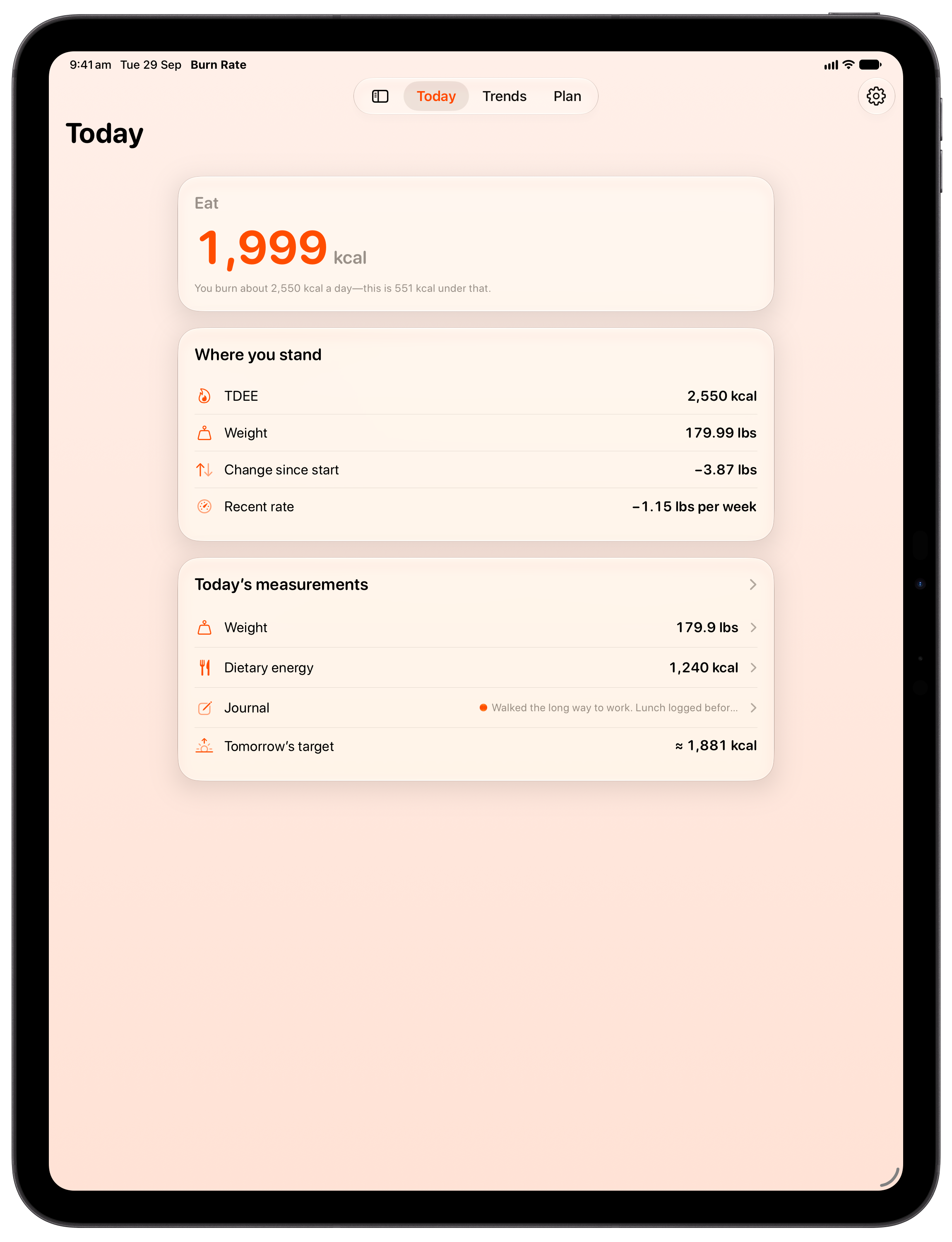 Burn Rate on iPad Pro 13-inch showing Daily Target in the Orange tint, light appearance.