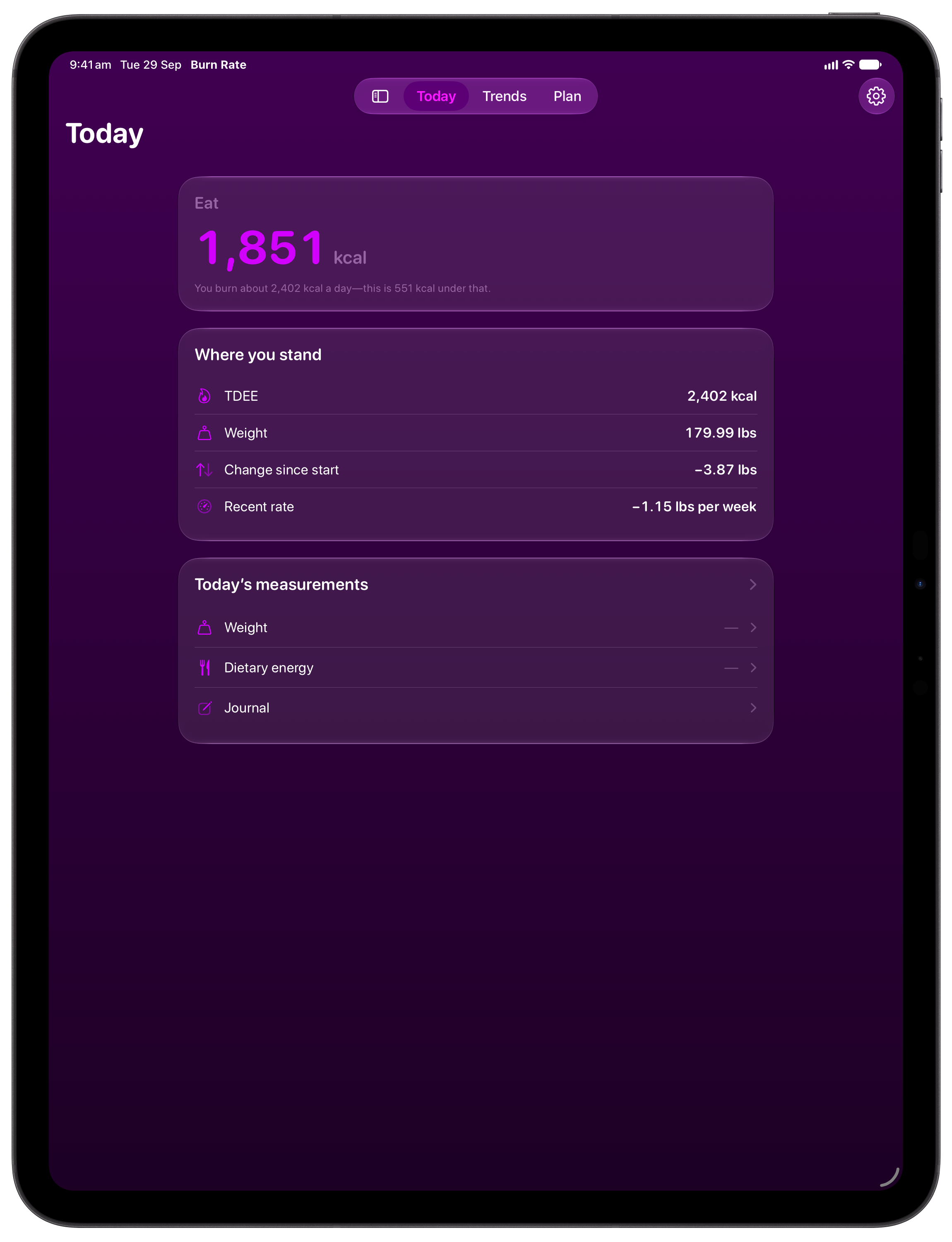 Burn Rate on iPad Pro 13-inch showing Daily Target in the Purple tint, dark appearance.