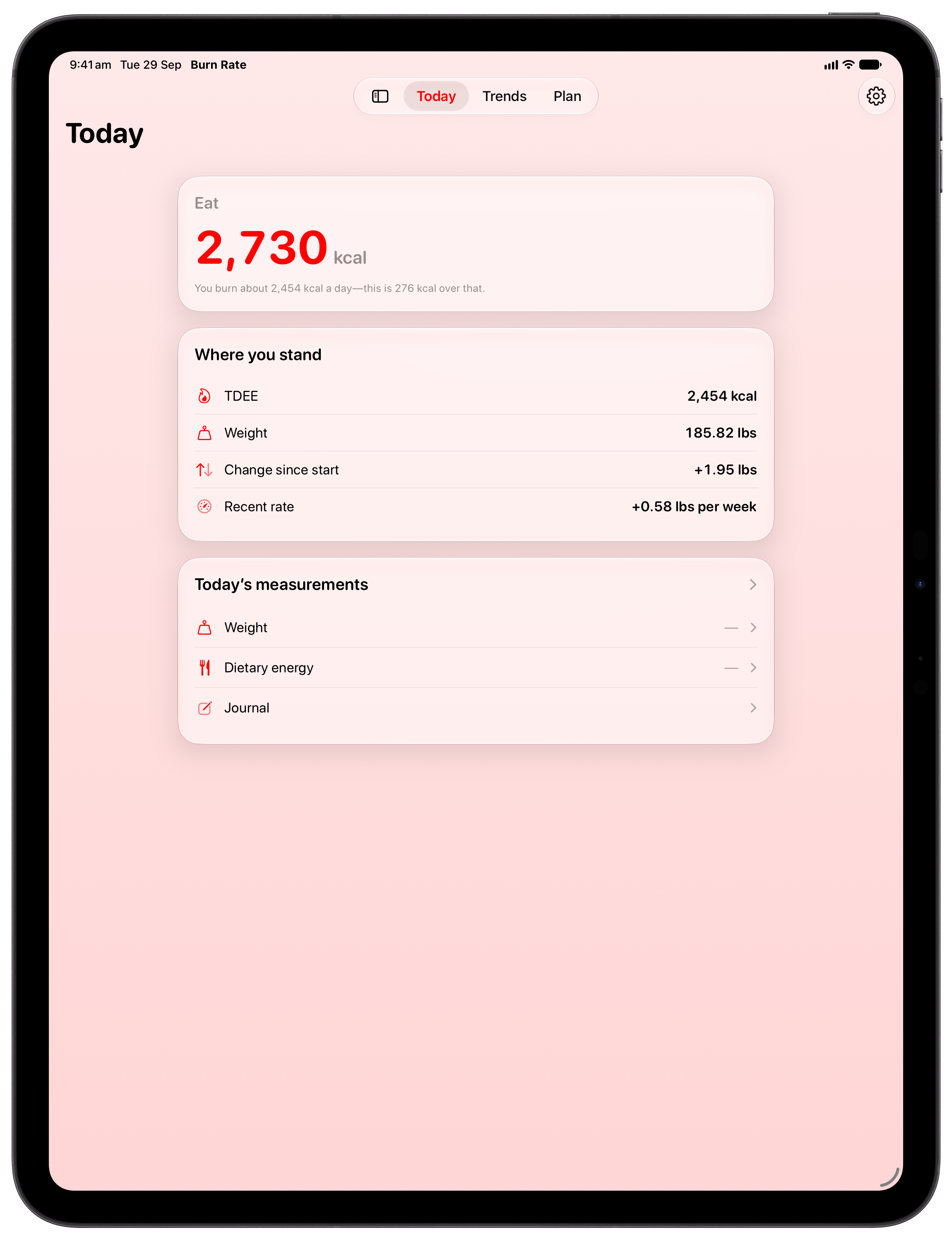 Burn Rate on iPad Pro 13-inch showing Daily Target in the Red tint, light appearance.