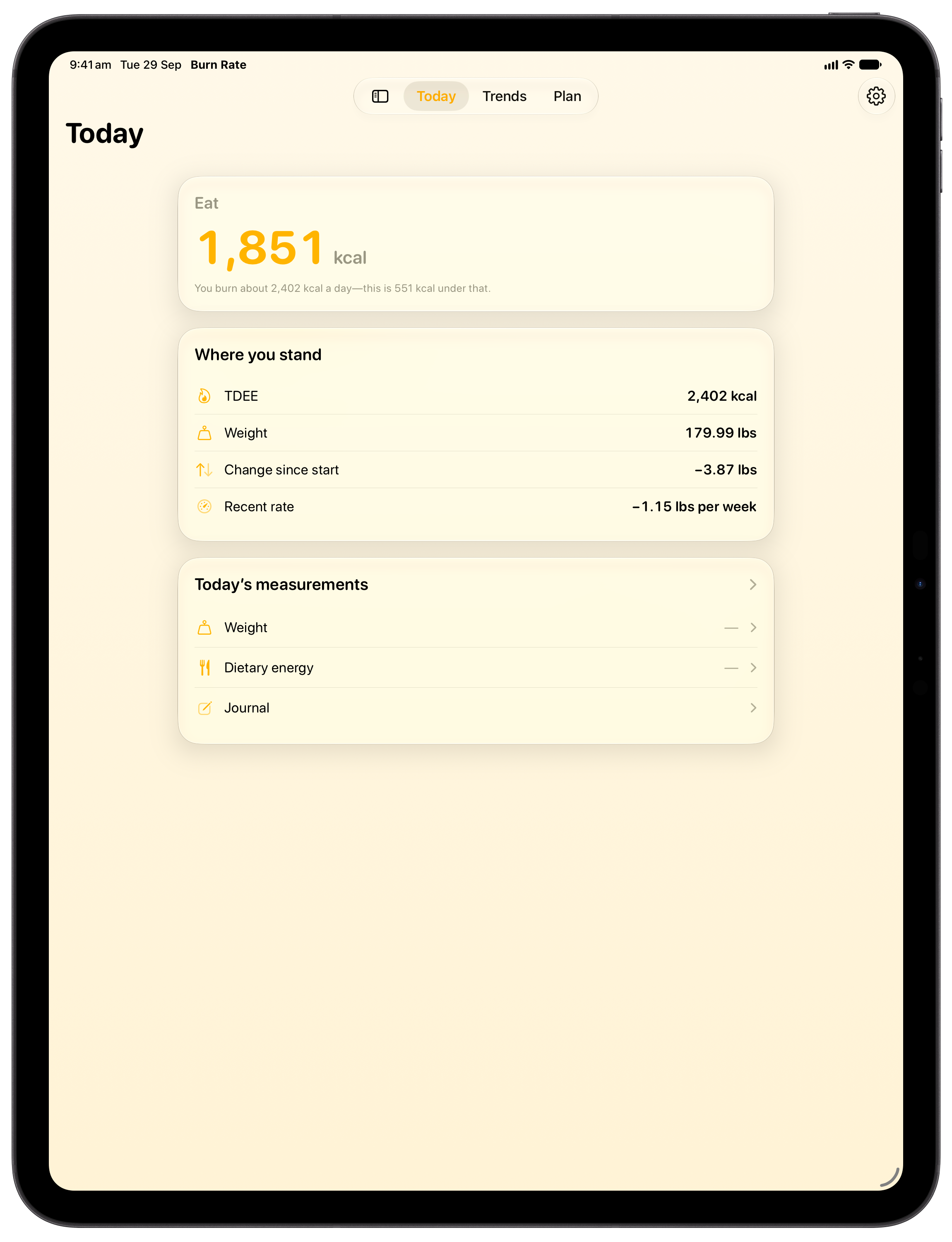 Burn Rate on iPad Pro 13-inch showing Daily Target in the Yellow tint, light appearance.