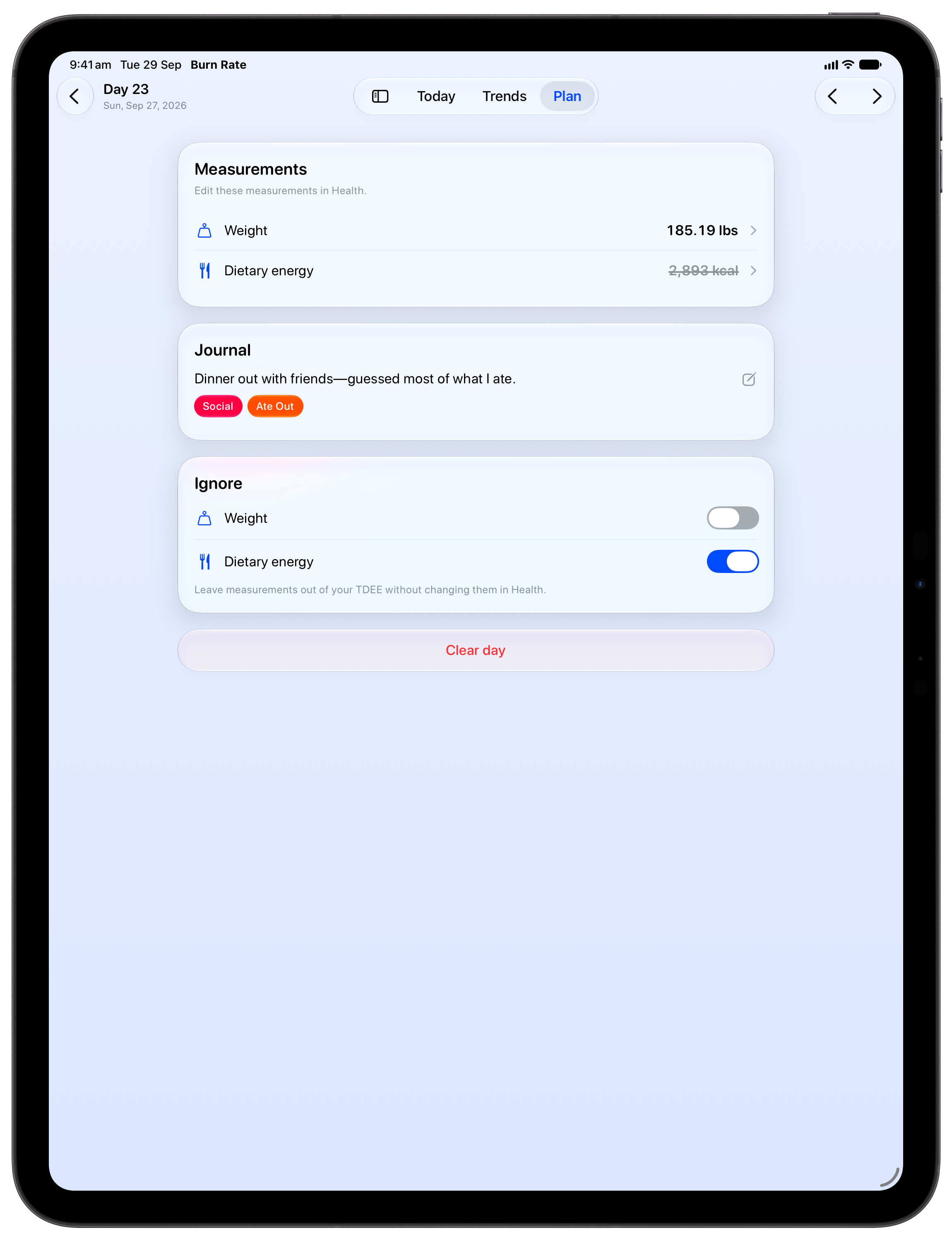 Burn Rate on iPad Pro 13-inch showing Day Detail in the Blue tint, light appearance.