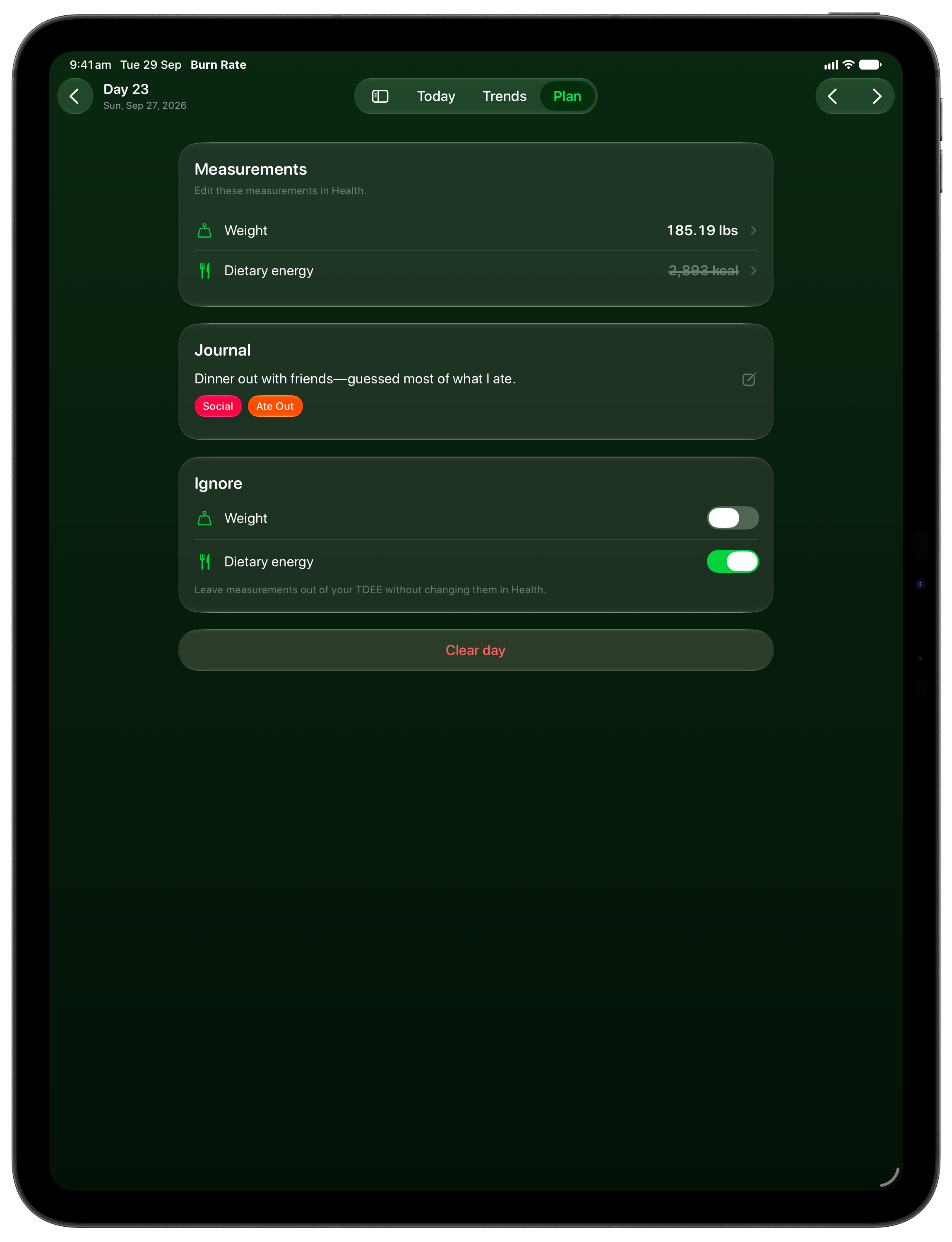 Burn Rate on iPad Pro 13-inch showing Day Detail in the Green tint, dark appearance.