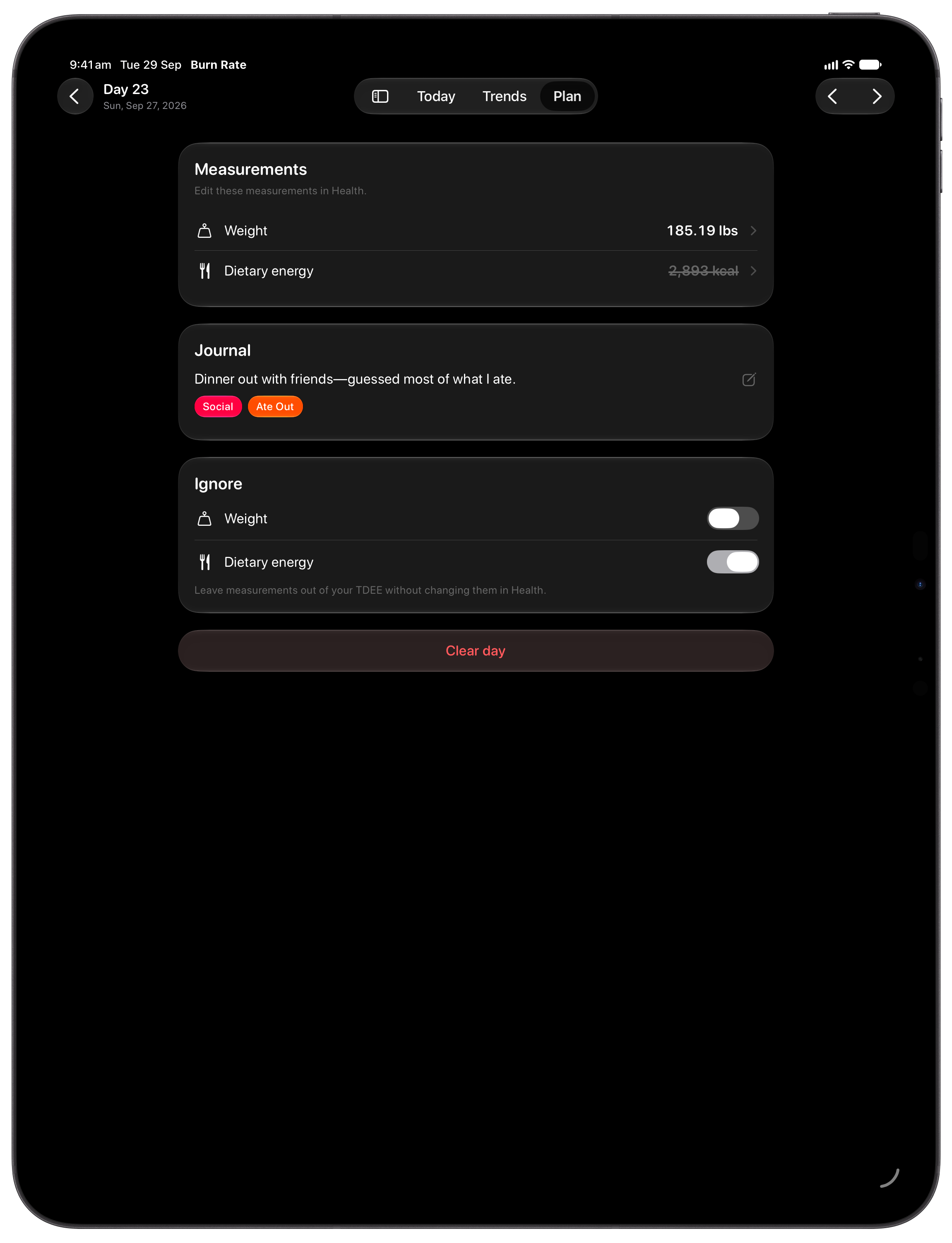 Burn Rate on iPad Pro 13-inch showing Day Detail in the Grey tint, dark appearance.