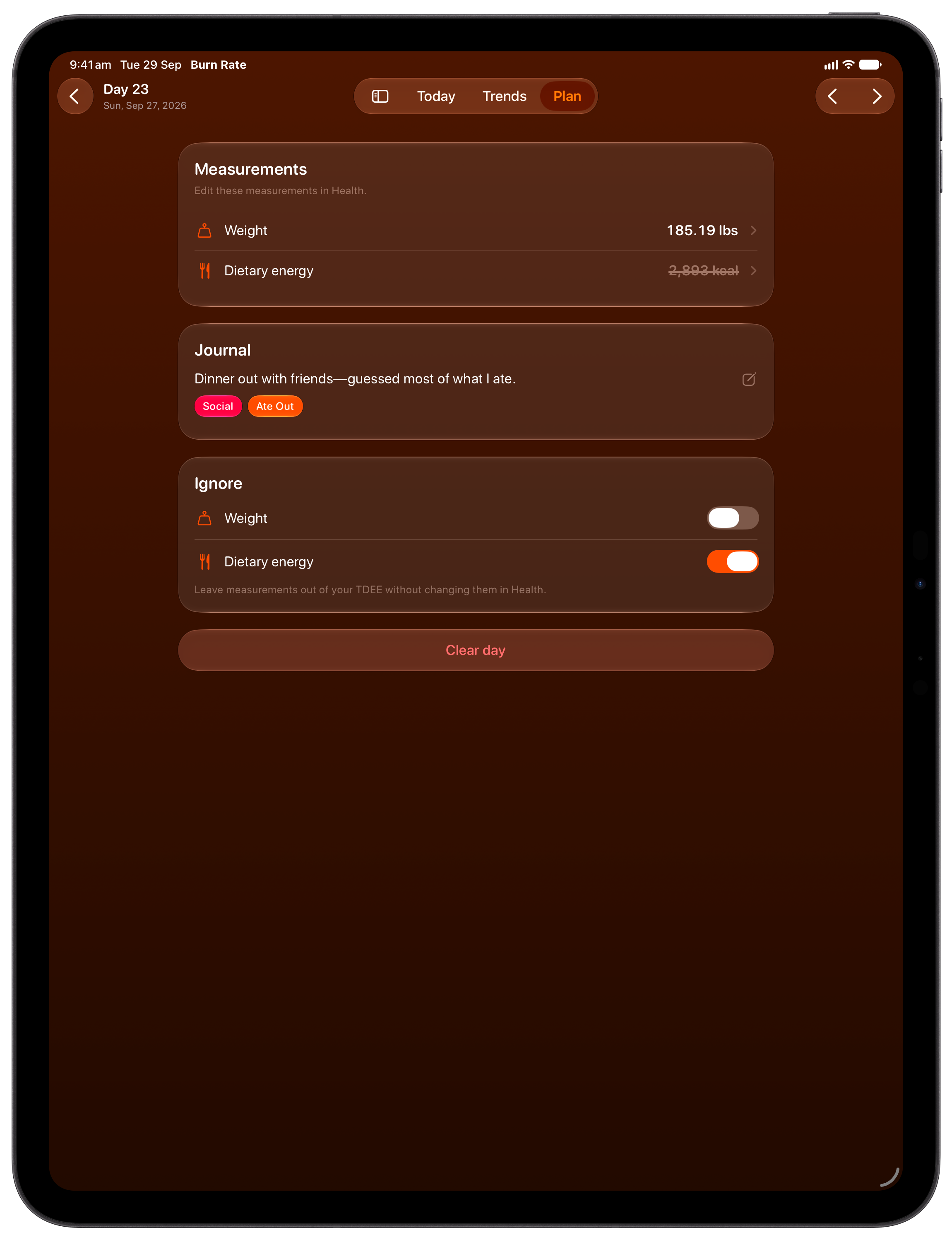 Burn Rate on iPad Pro 13-inch showing Day Detail in the Orange tint, dark appearance.