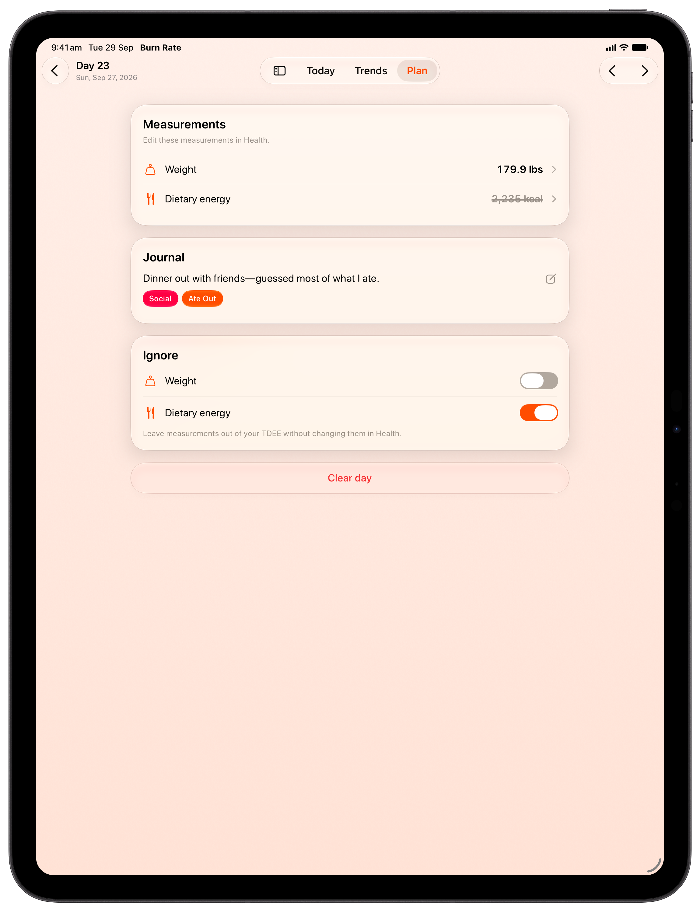 Burn Rate on iPad Pro 13-inch showing Day Detail in the Orange tint, light appearance.