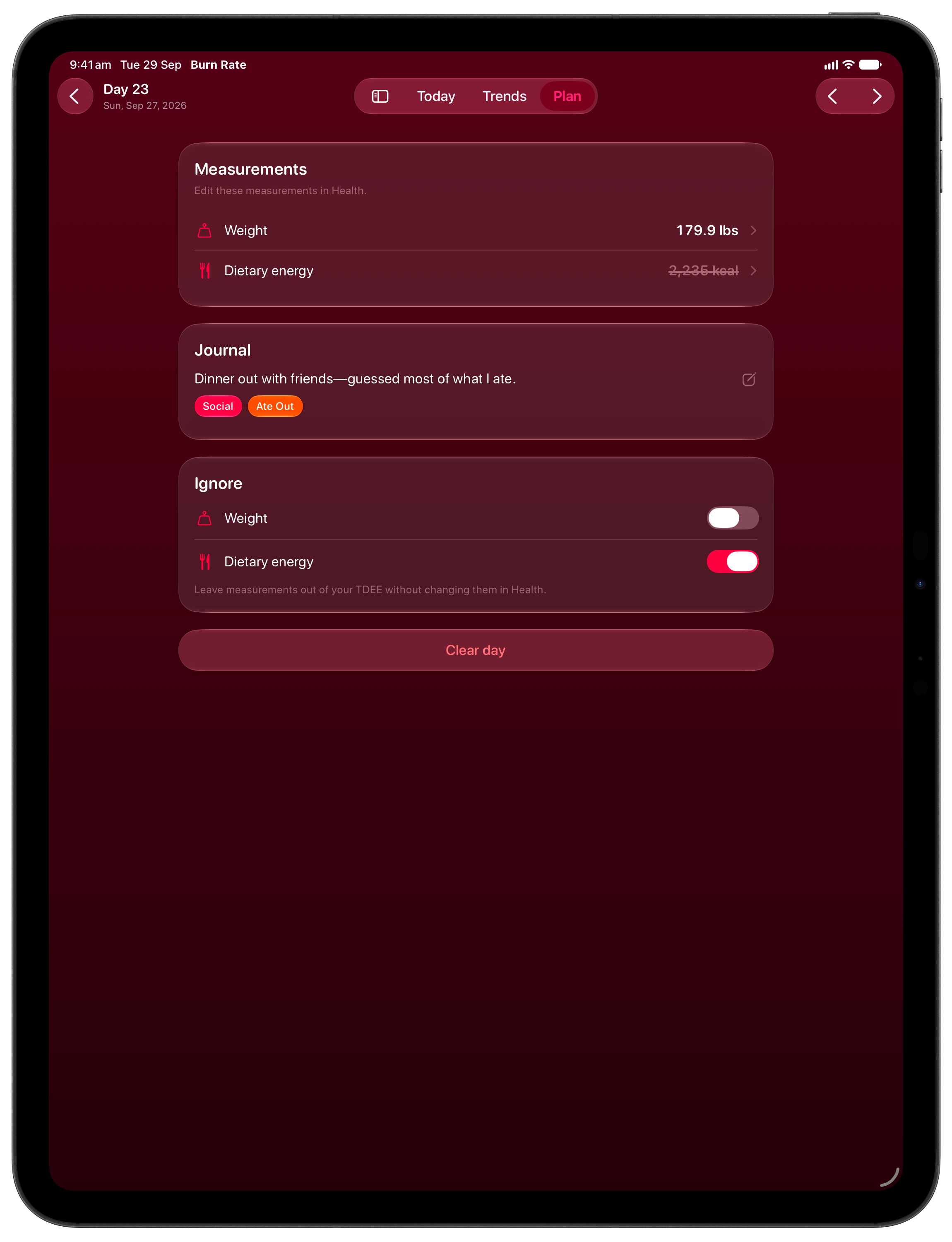 Burn Rate on iPad Pro 13-inch showing Day Detail in the Pink tint, dark appearance.