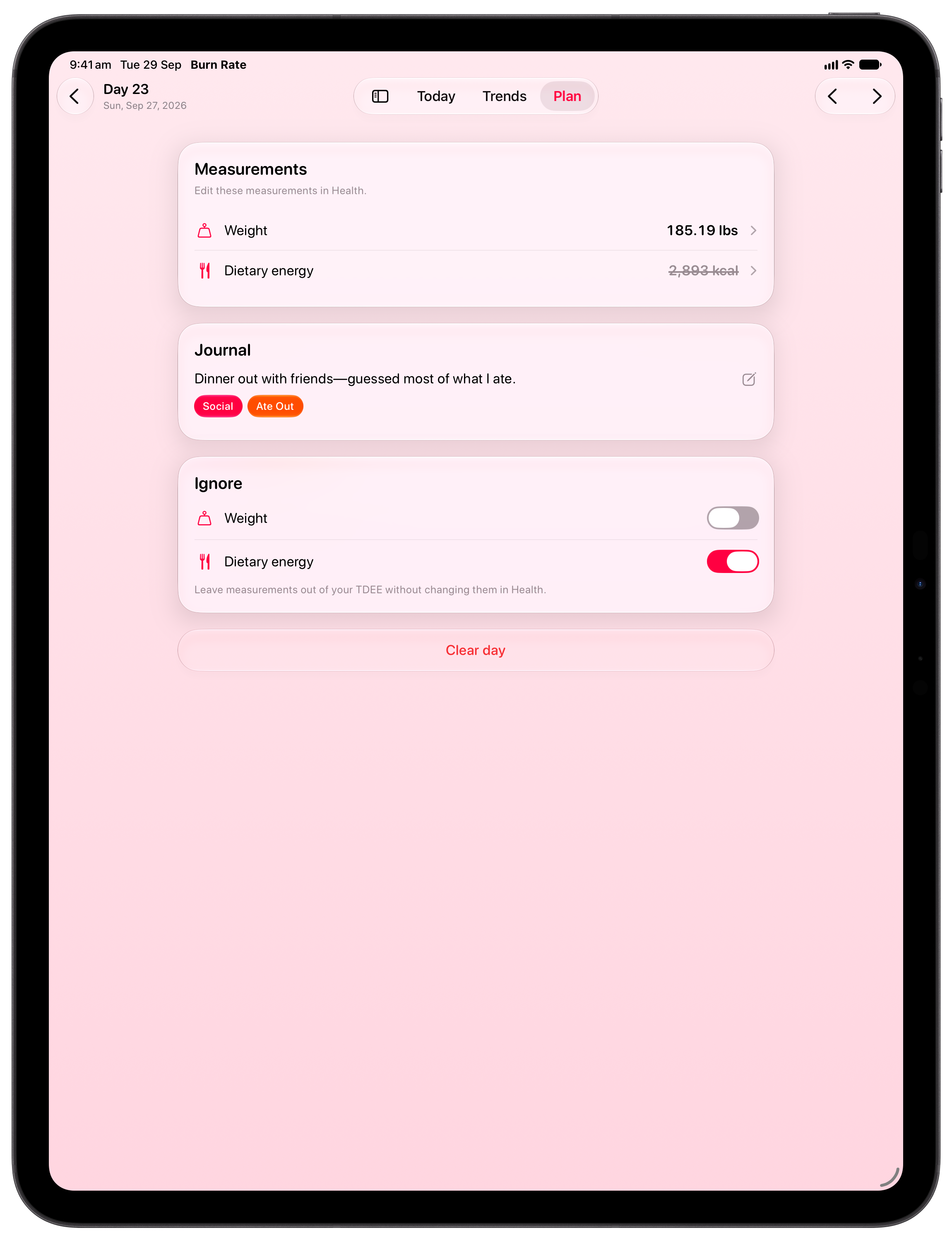Burn Rate on iPad Pro 13-inch showing Day Detail in the Pink tint, light appearance.