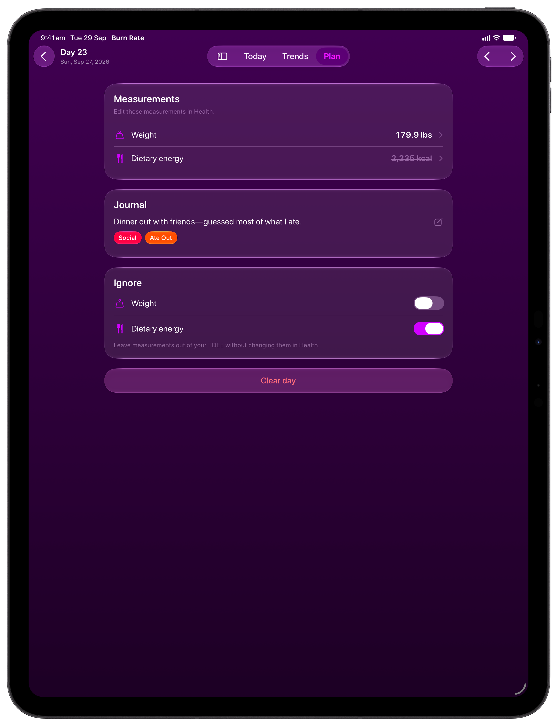 Burn Rate on iPad Pro 13-inch showing Day Detail in the Purple tint, dark appearance.
