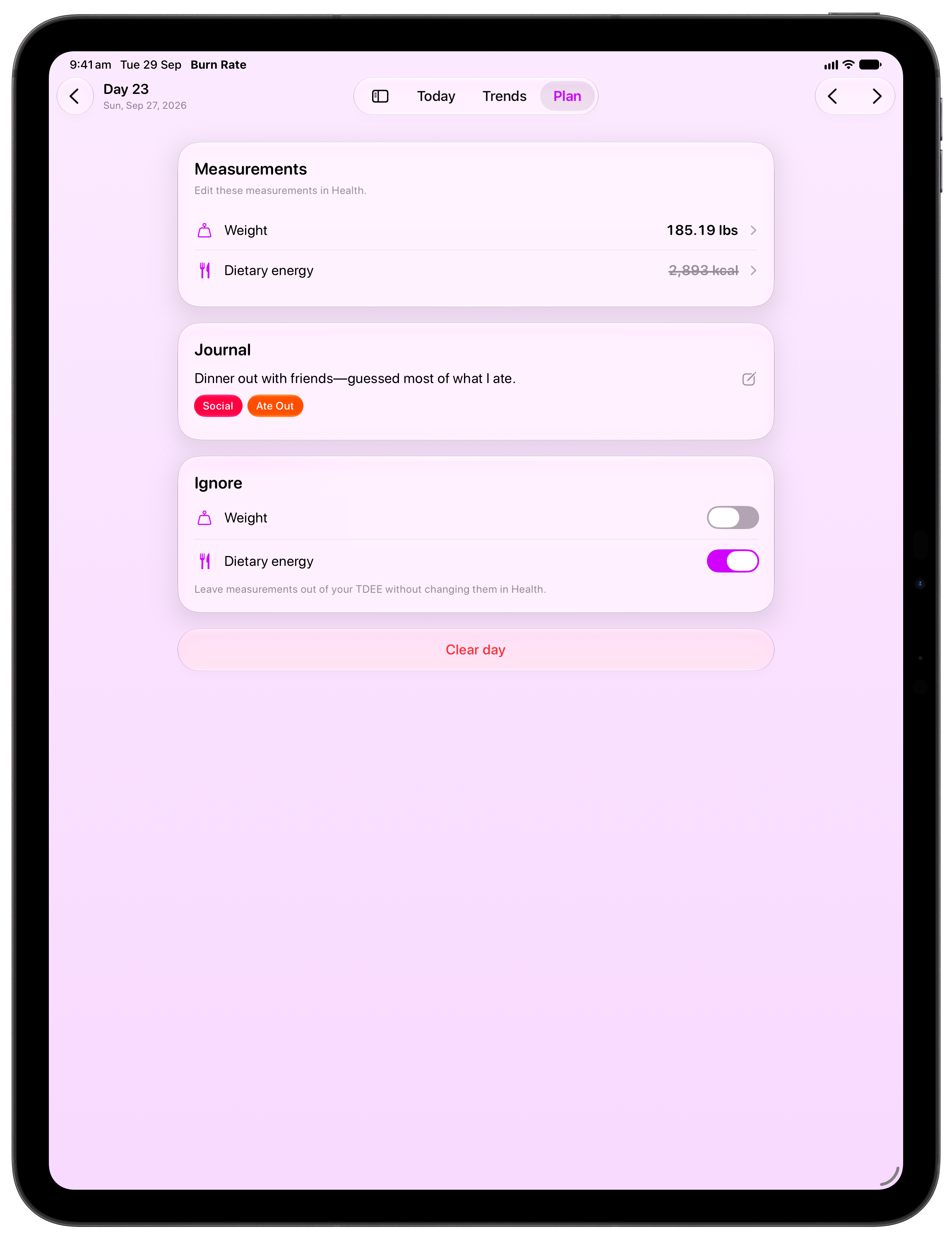 Burn Rate on iPad Pro 13-inch showing Day Detail in the Purple tint, light appearance.