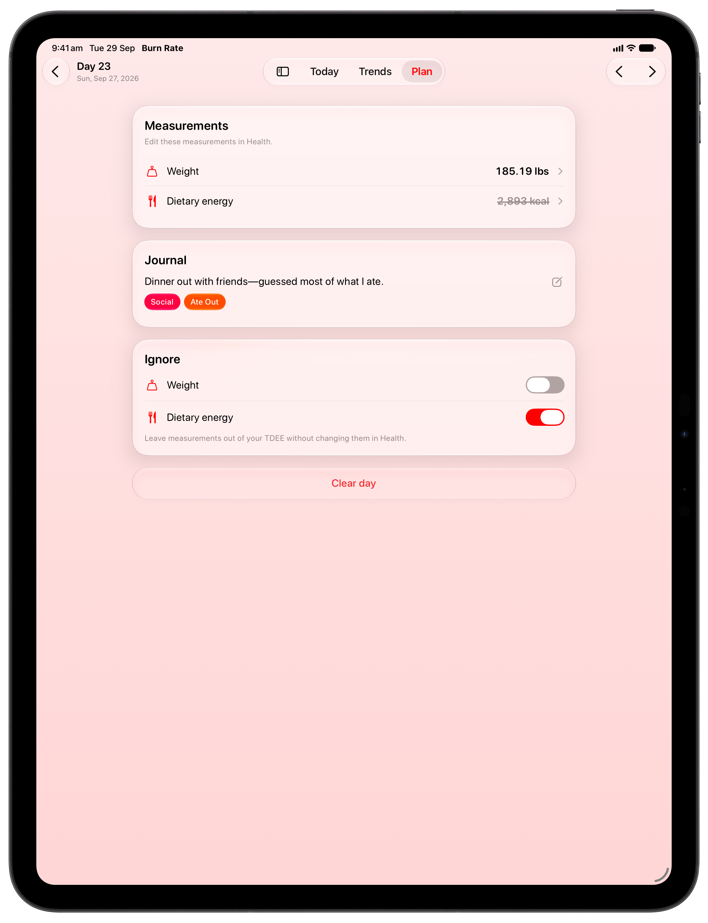 Burn Rate on iPad Pro 13-inch showing Day Detail in the Red tint, light appearance.