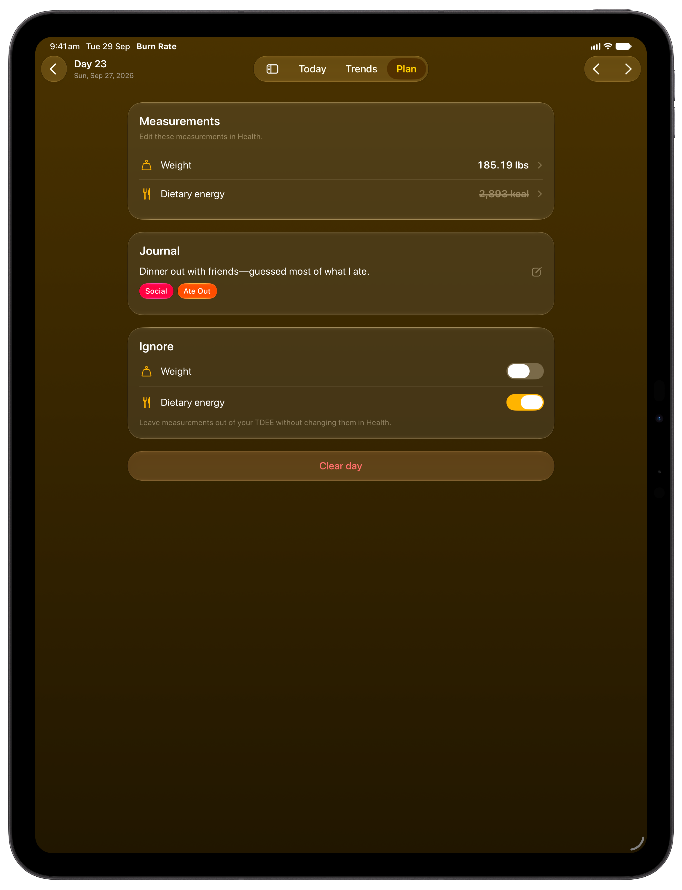 Burn Rate on iPad Pro 13-inch showing Day Detail in the Yellow tint, dark appearance.