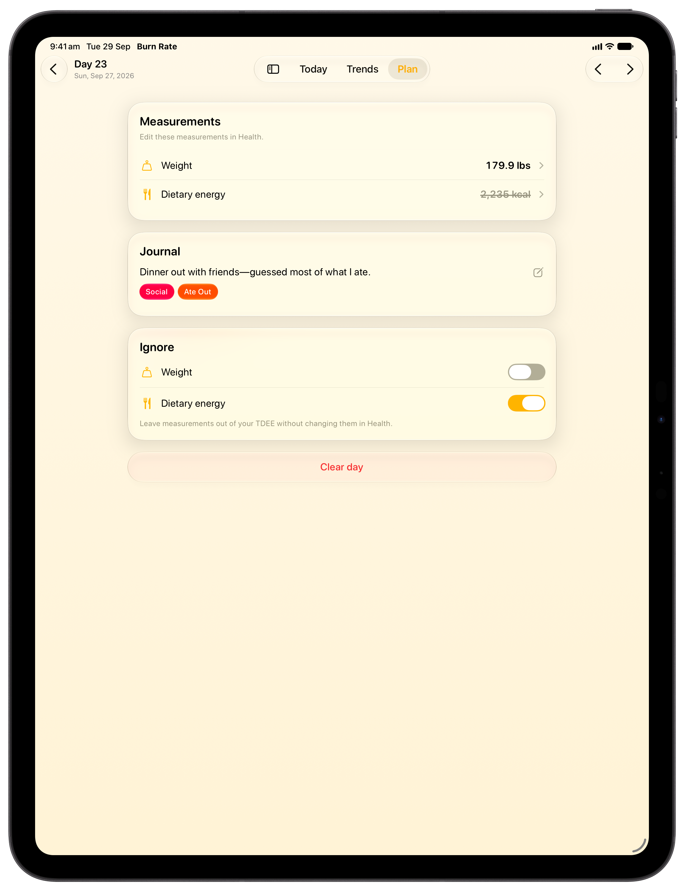 Burn Rate on iPad Pro 13-inch showing Day Detail in the Yellow tint, light appearance.