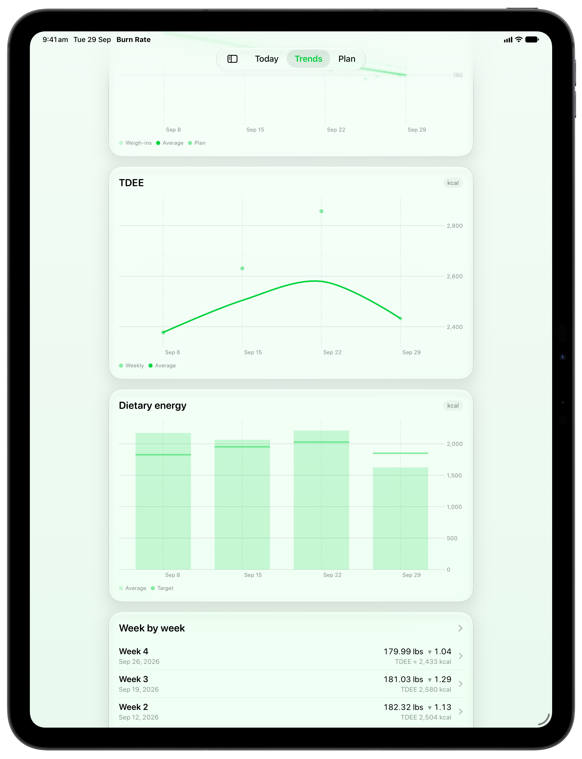 Burn Rate on iPad Pro 13-inch showing Intake Target in the Green tint, light appearance.