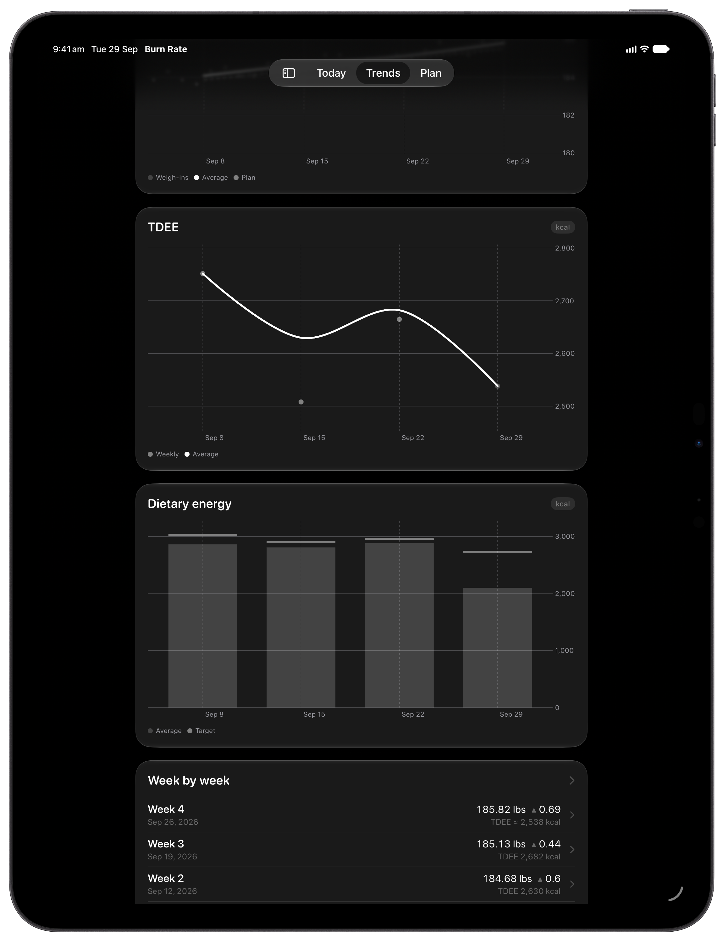 Burn Rate on iPad Pro 13-inch showing Intake Target in the Grey tint, dark appearance.