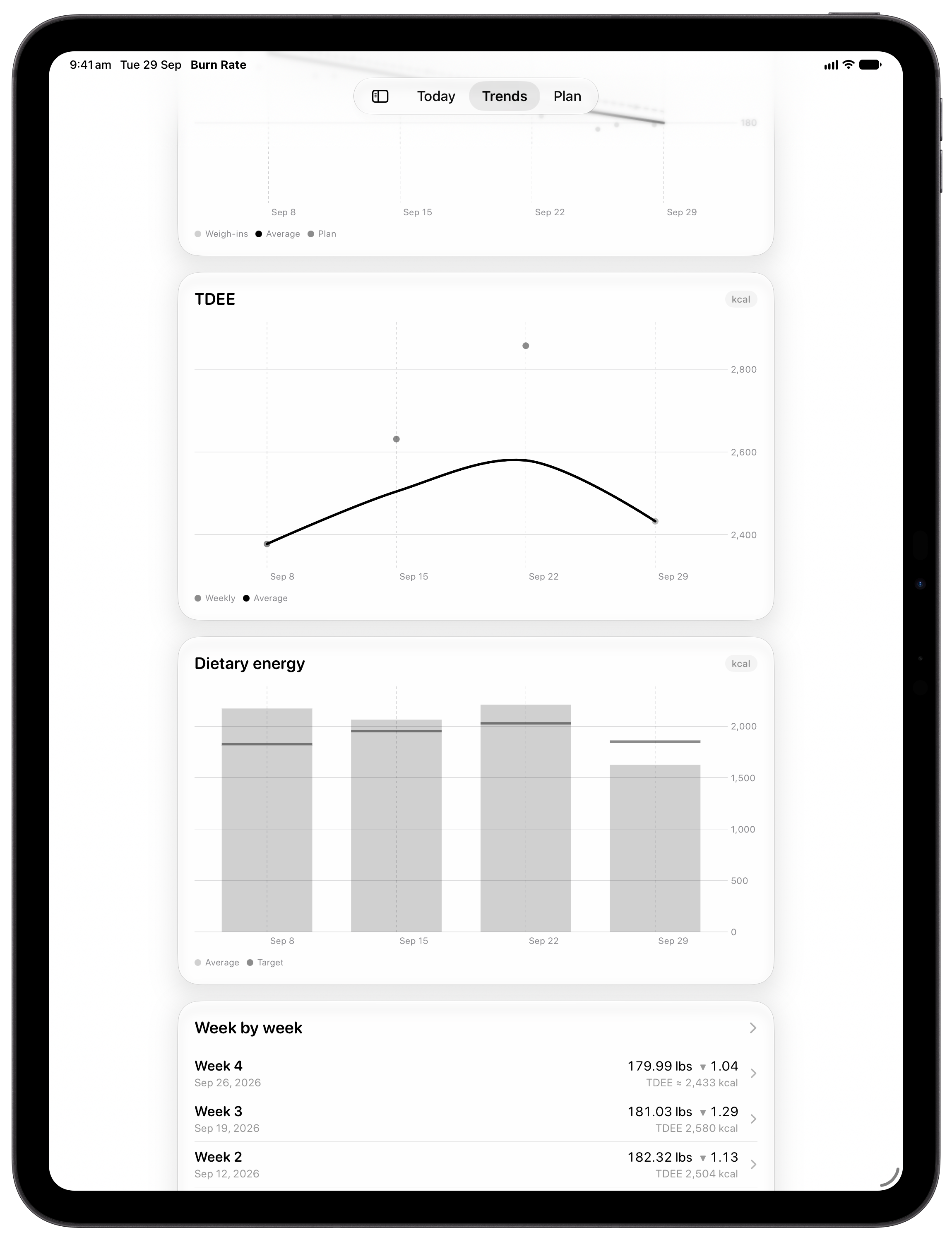 Burn Rate on iPad Pro 13-inch showing Intake Target in the Grey tint, light appearance.
