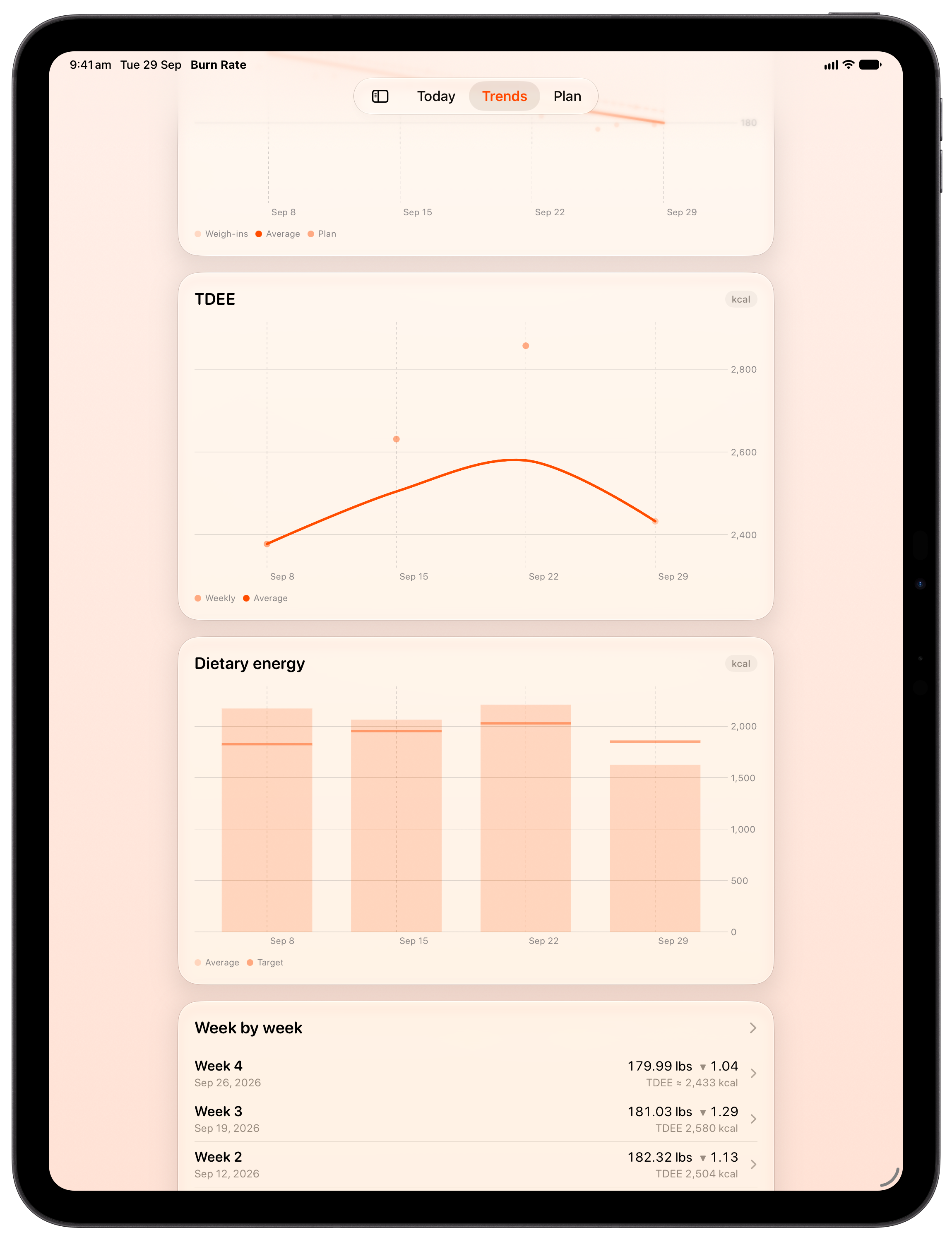 Burn Rate on iPad Pro 13-inch showing Intake Target in the Orange tint, light appearance.