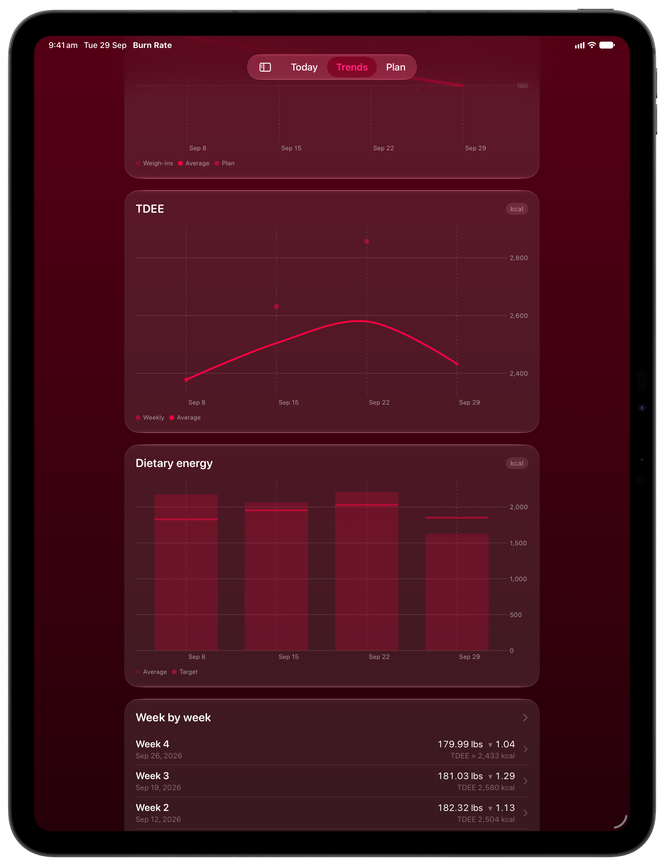 Burn Rate on iPad Pro 13-inch showing Intake Target in the Pink tint, dark appearance.