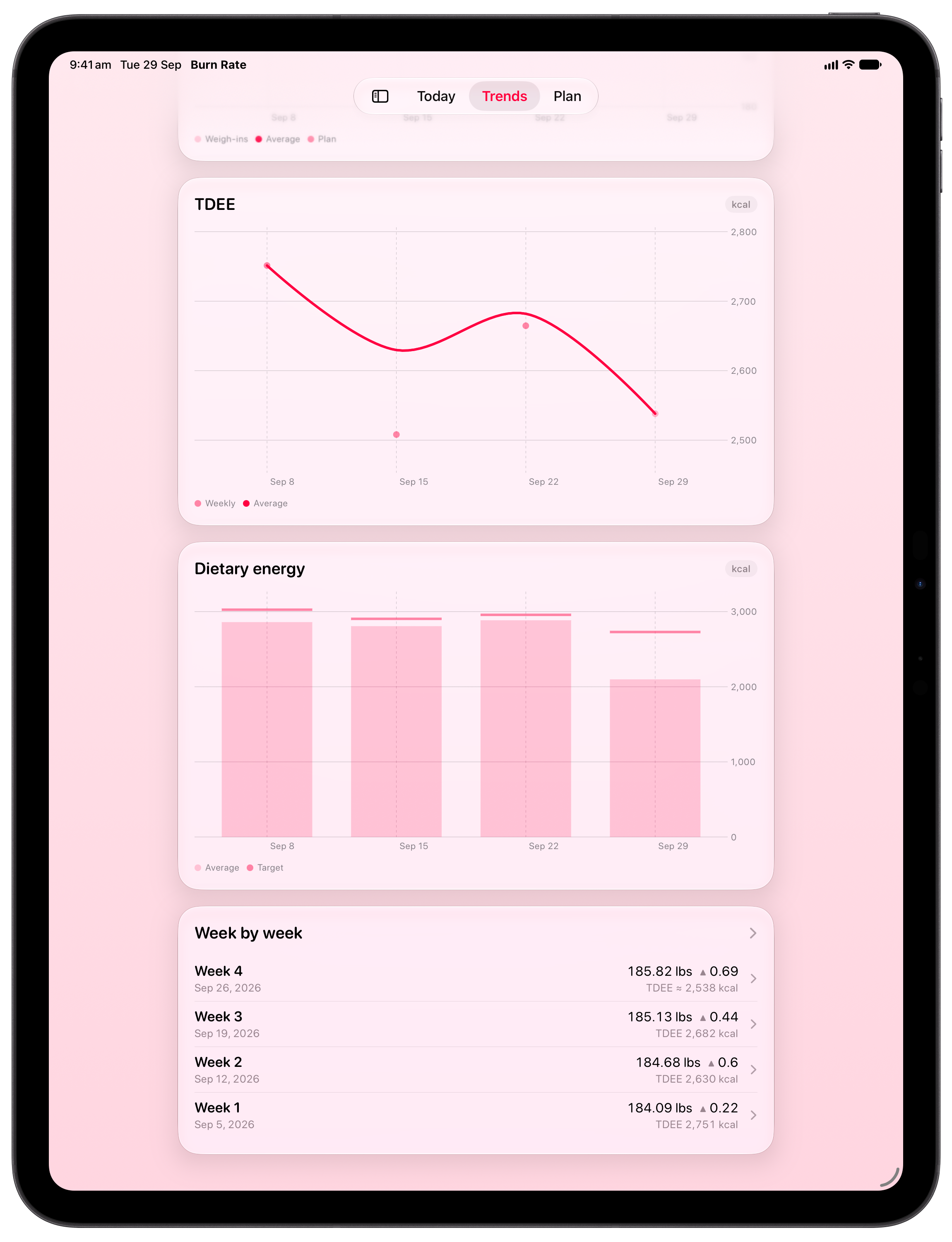 Burn Rate on iPad Pro 13-inch showing Intake Target in the Pink tint, light appearance.
