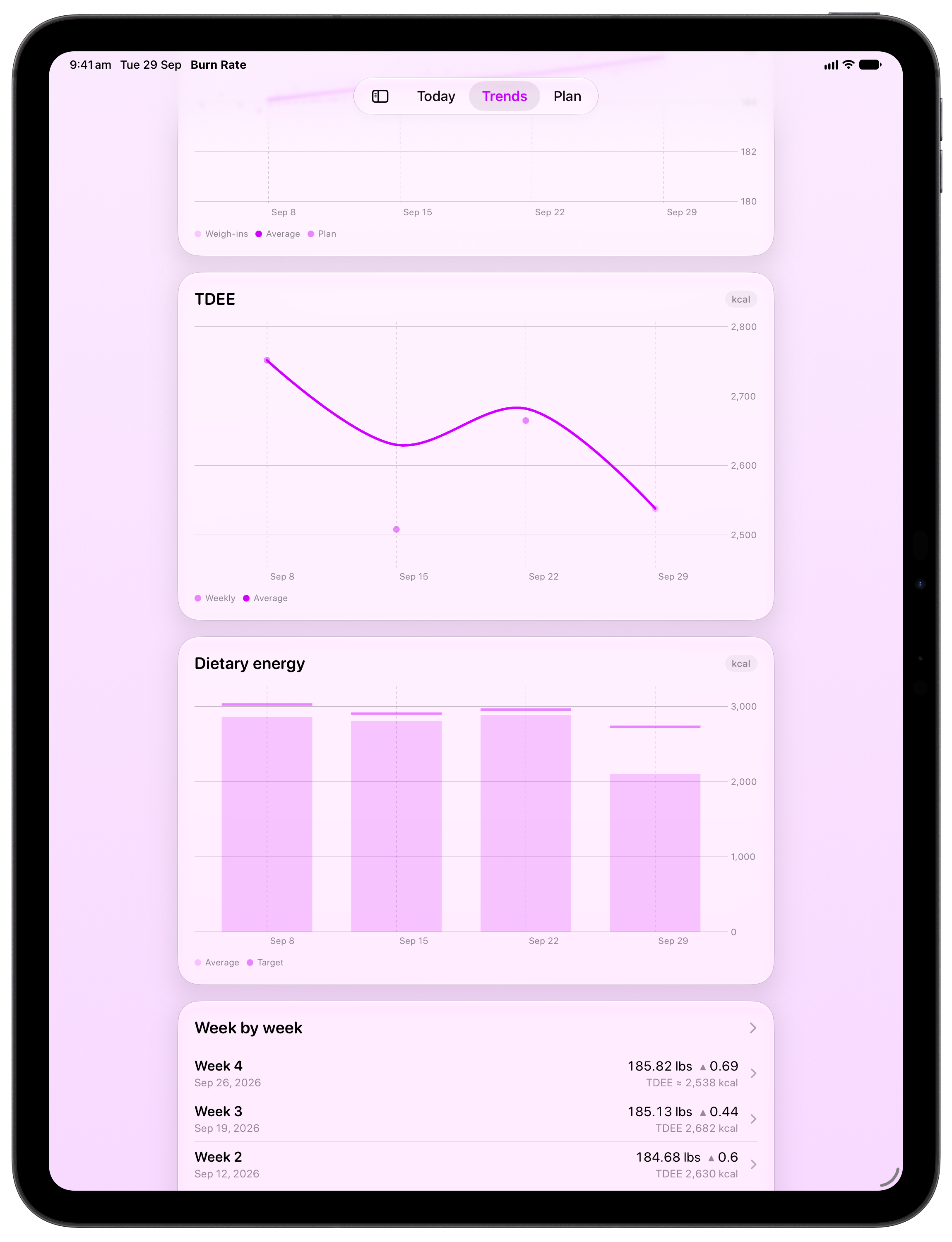 Burn Rate on iPad Pro 13-inch showing Intake Target in the Purple tint, light appearance.