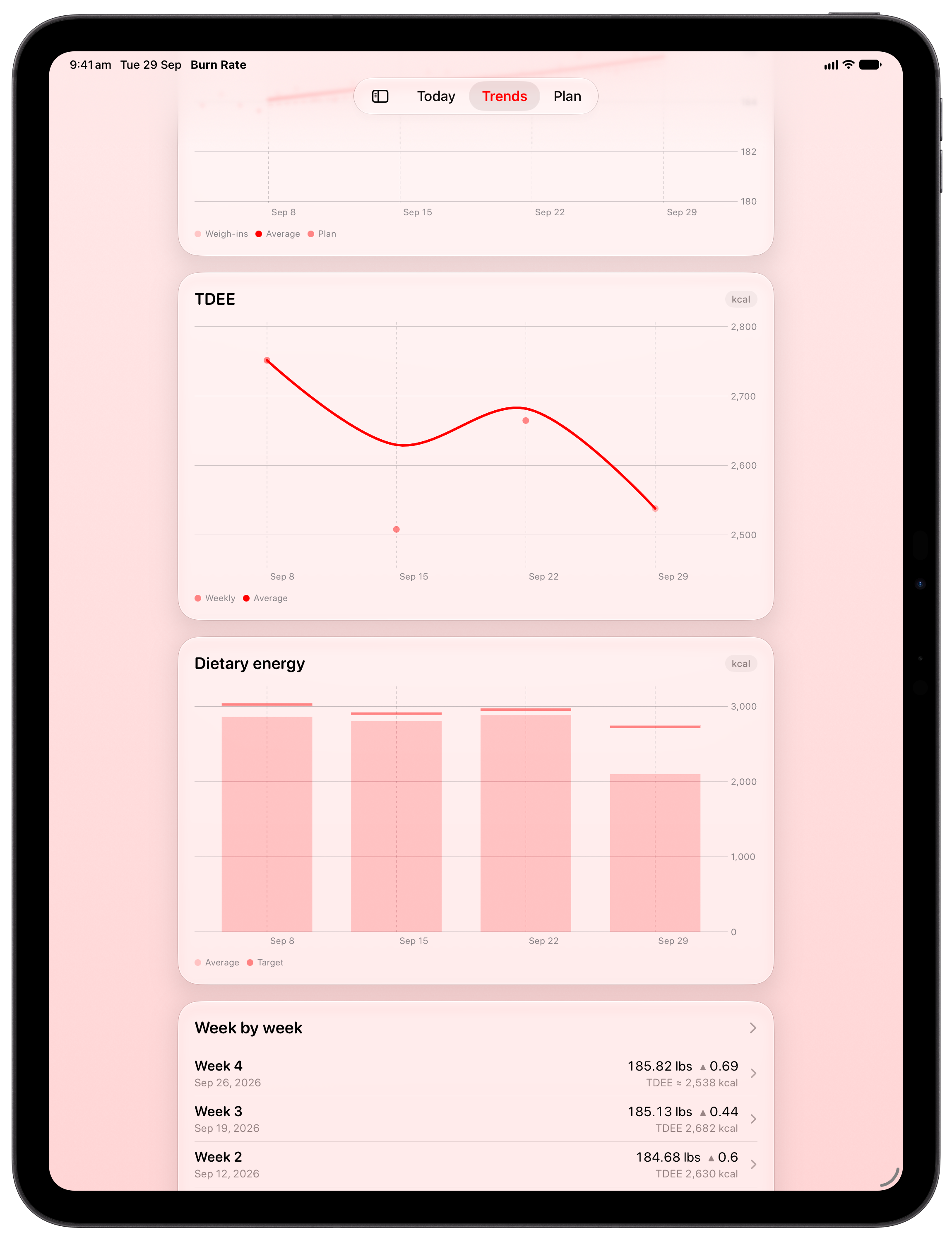 Burn Rate on iPad Pro 13-inch showing Intake Target in the Red tint, light appearance.