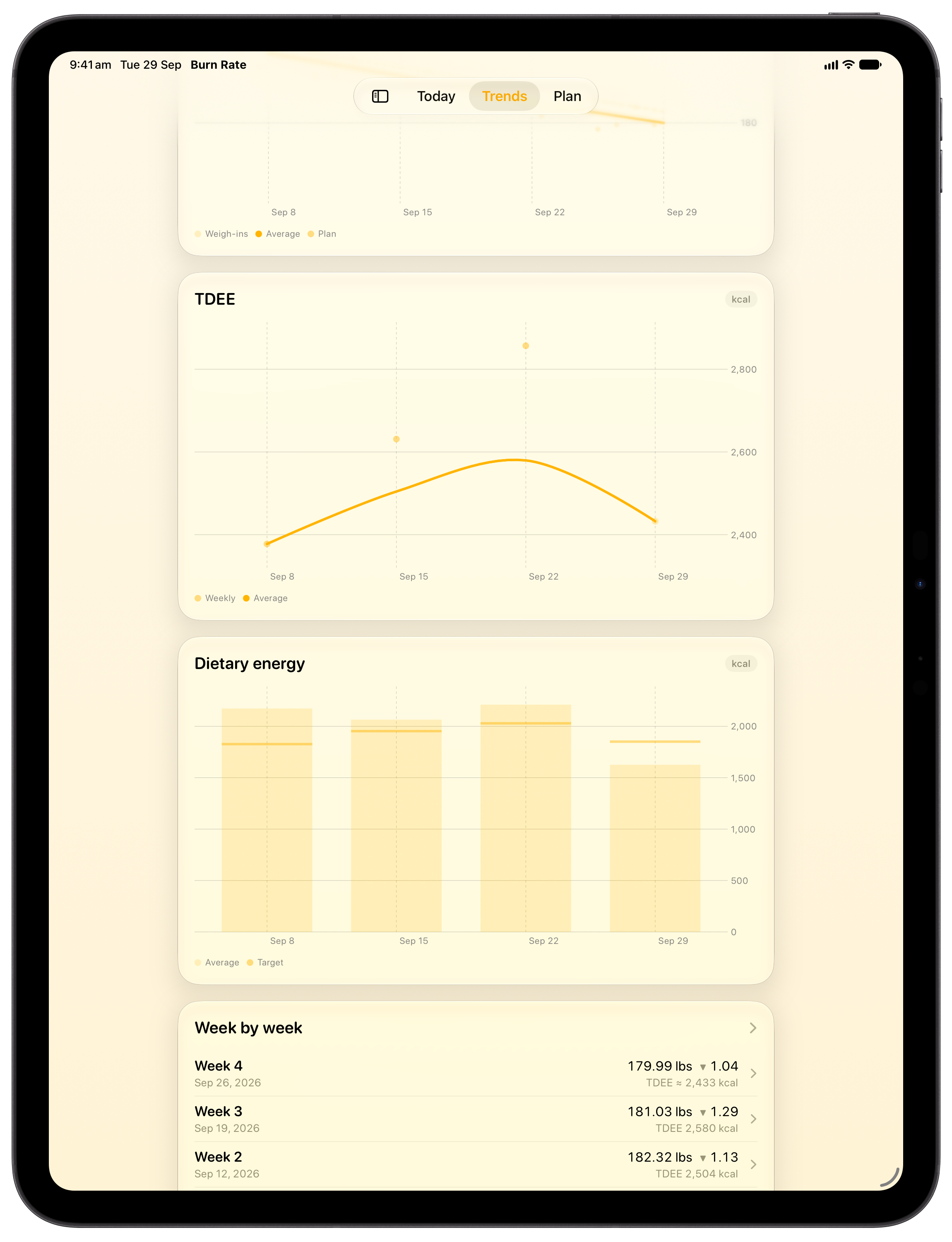 Burn Rate on iPad Pro 13-inch showing Intake Target in the Yellow tint, light appearance.
