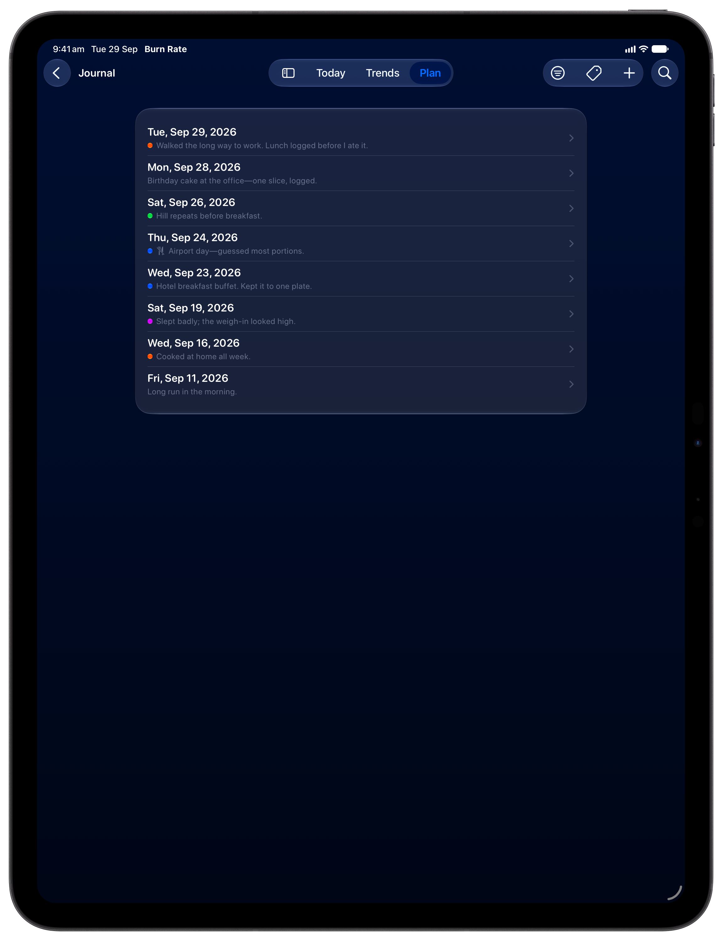 Burn Rate on iPad Pro 13-inch showing Journal in the Blue tint, dark appearance.