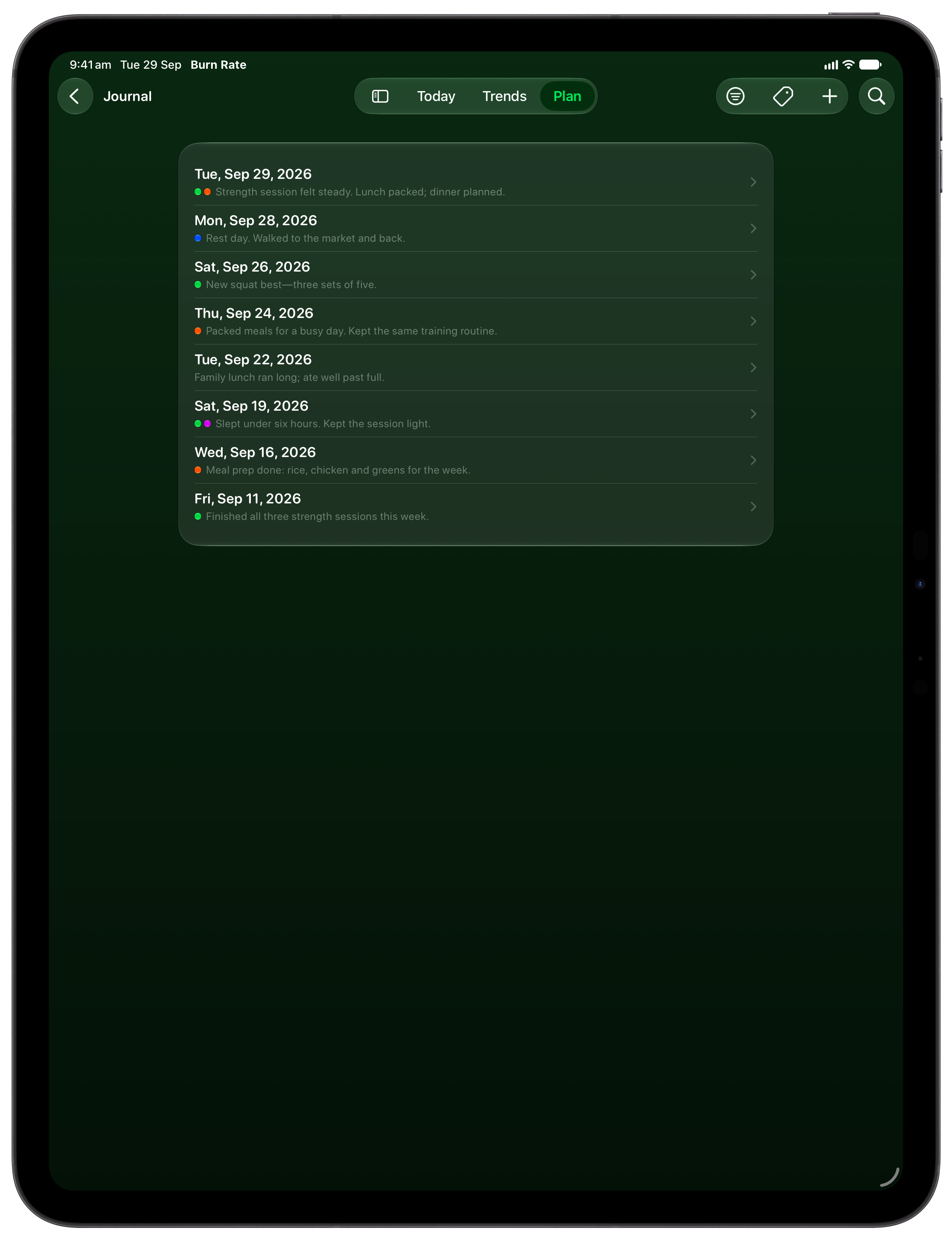 Burn Rate on iPad Pro 13-inch showing Journal in the Green tint, dark appearance.