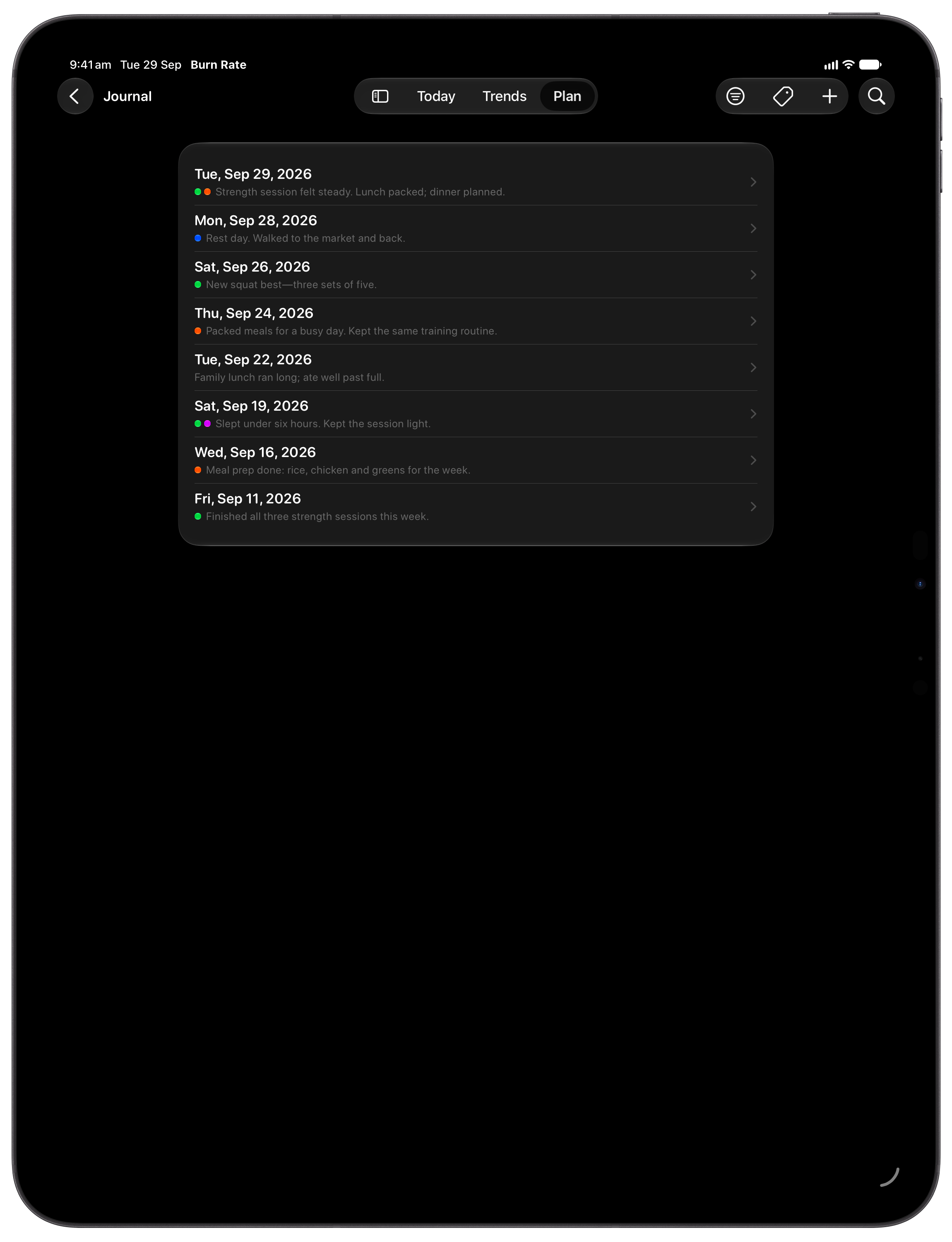 Burn Rate on iPad Pro 13-inch showing Journal in the Grey tint, dark appearance.
