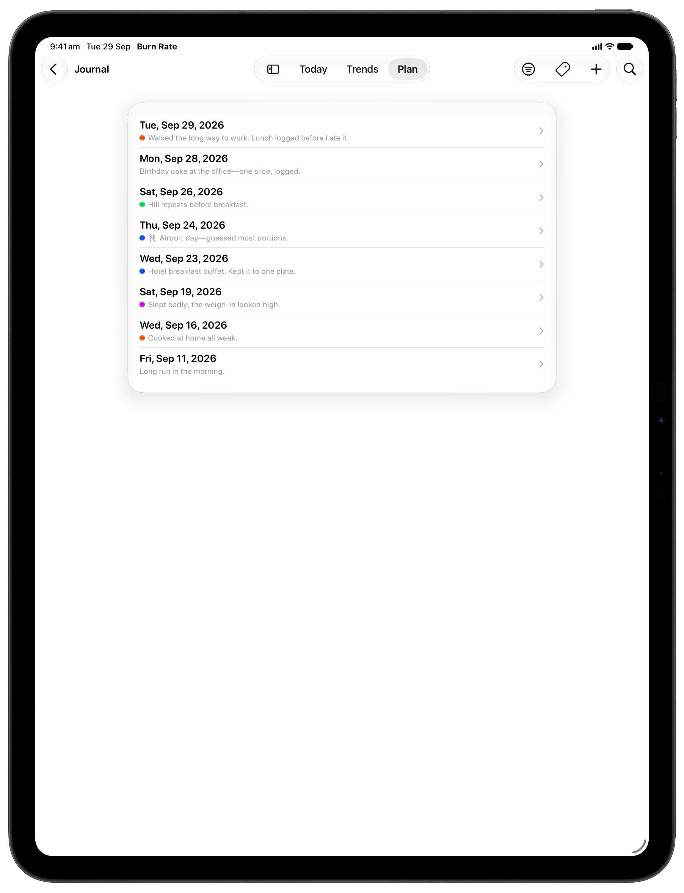Burn Rate on iPad Pro 13-inch showing Journal in the Grey tint, light appearance.