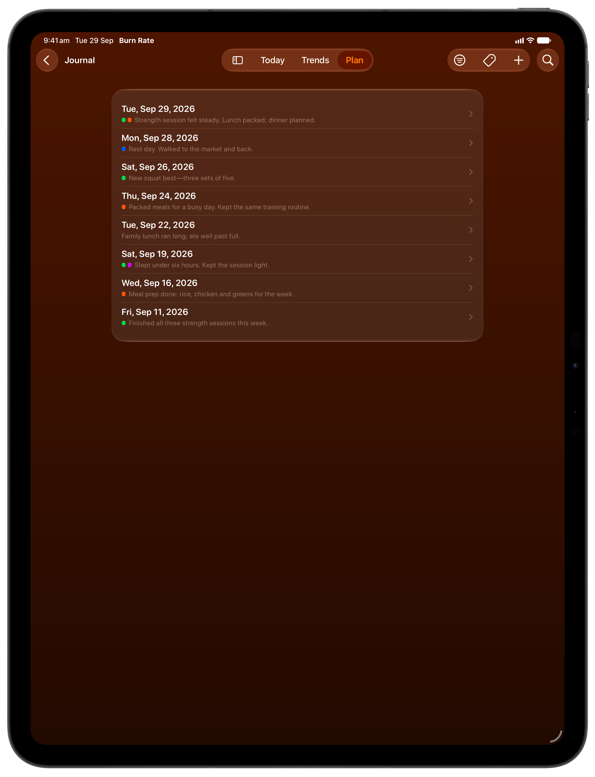 Burn Rate on iPad Pro 13-inch showing Journal in the Orange tint, dark appearance.