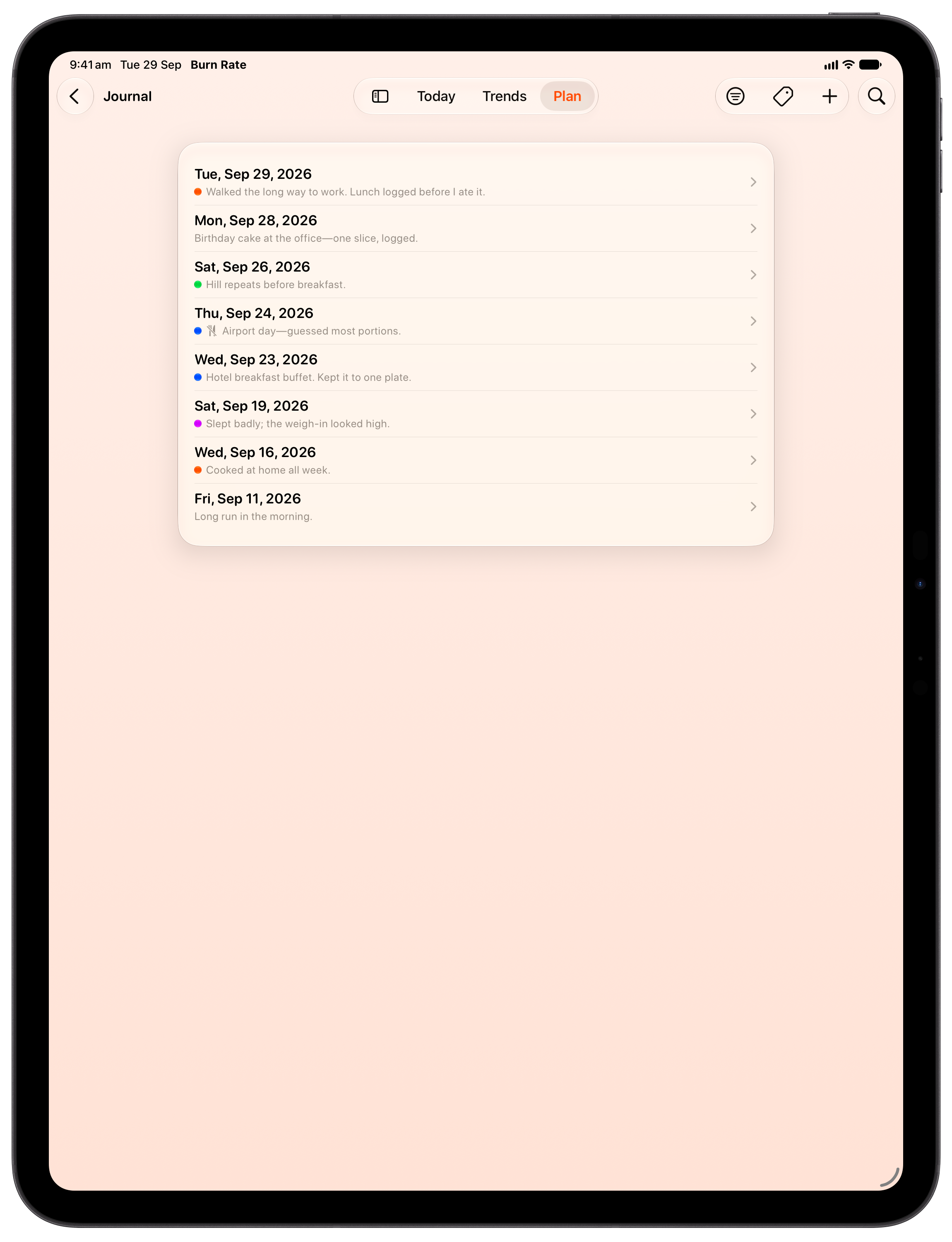 Burn Rate on iPad Pro 13-inch showing Journal in the Orange tint, light appearance.