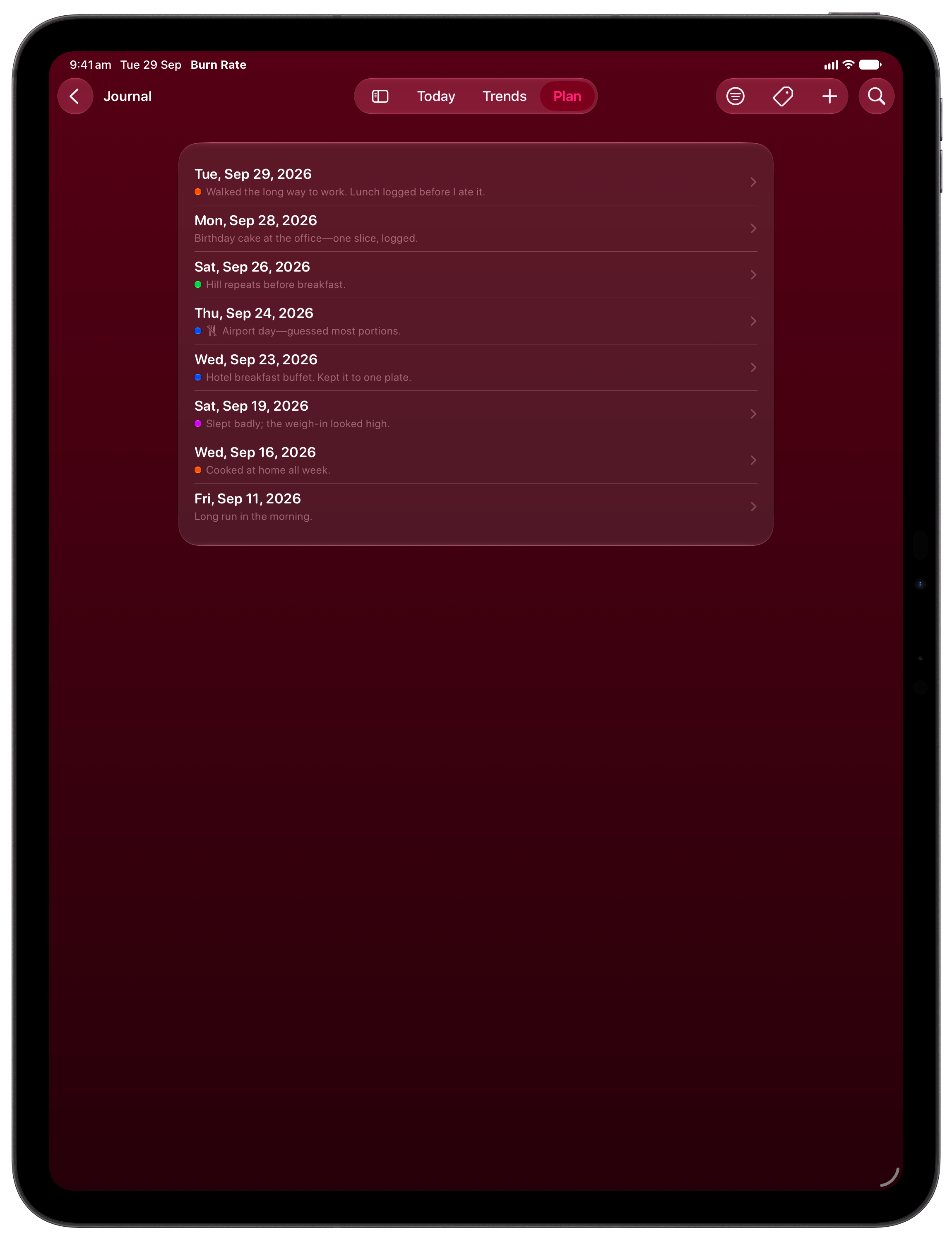 Burn Rate on iPad Pro 13-inch showing Journal in the Pink tint, dark appearance.