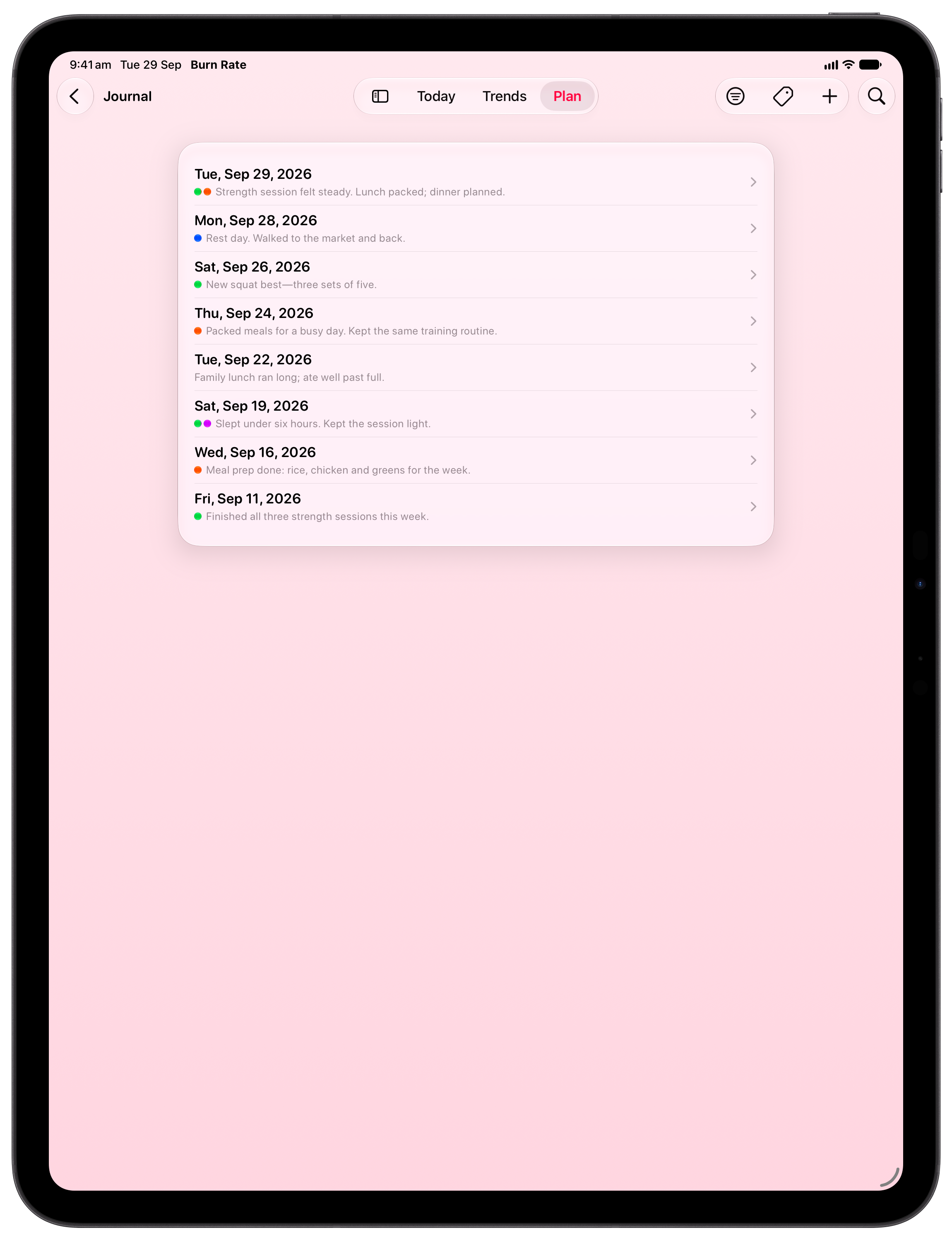 Burn Rate on iPad Pro 13-inch showing Journal in the Pink tint, light appearance.