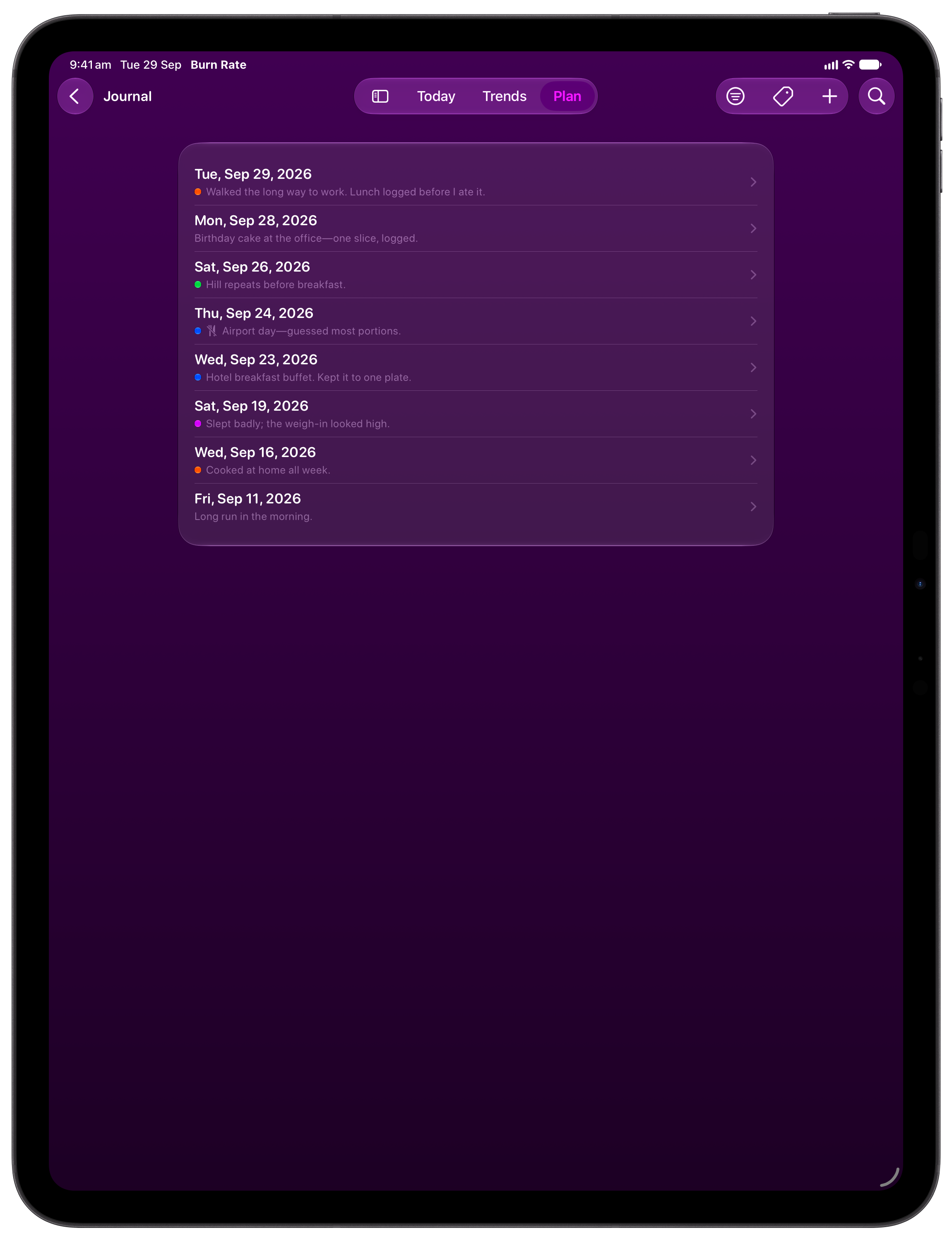 Burn Rate on iPad Pro 13-inch showing Journal in the Purple tint, dark appearance.
