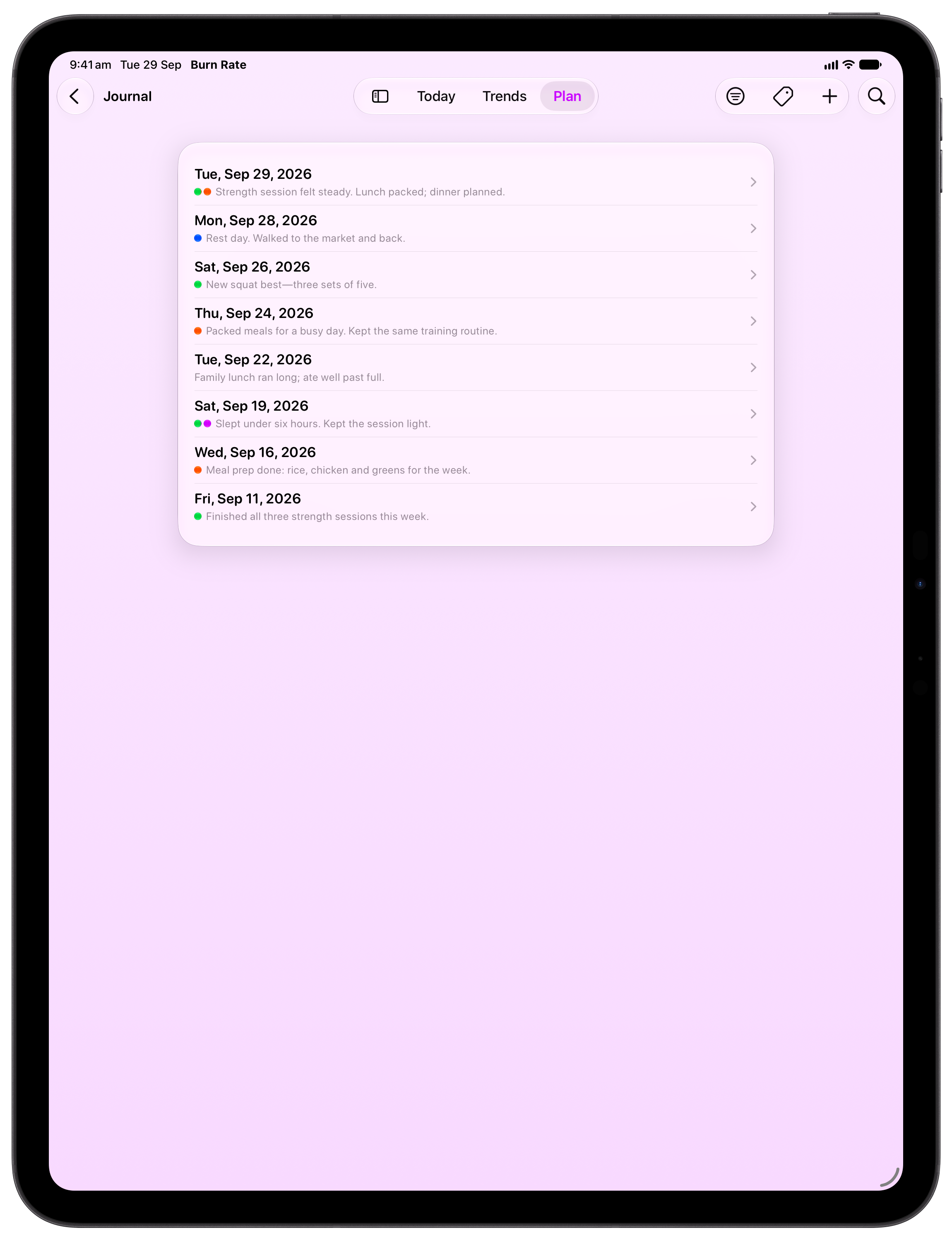 Burn Rate on iPad Pro 13-inch showing Journal in the Purple tint, light appearance.