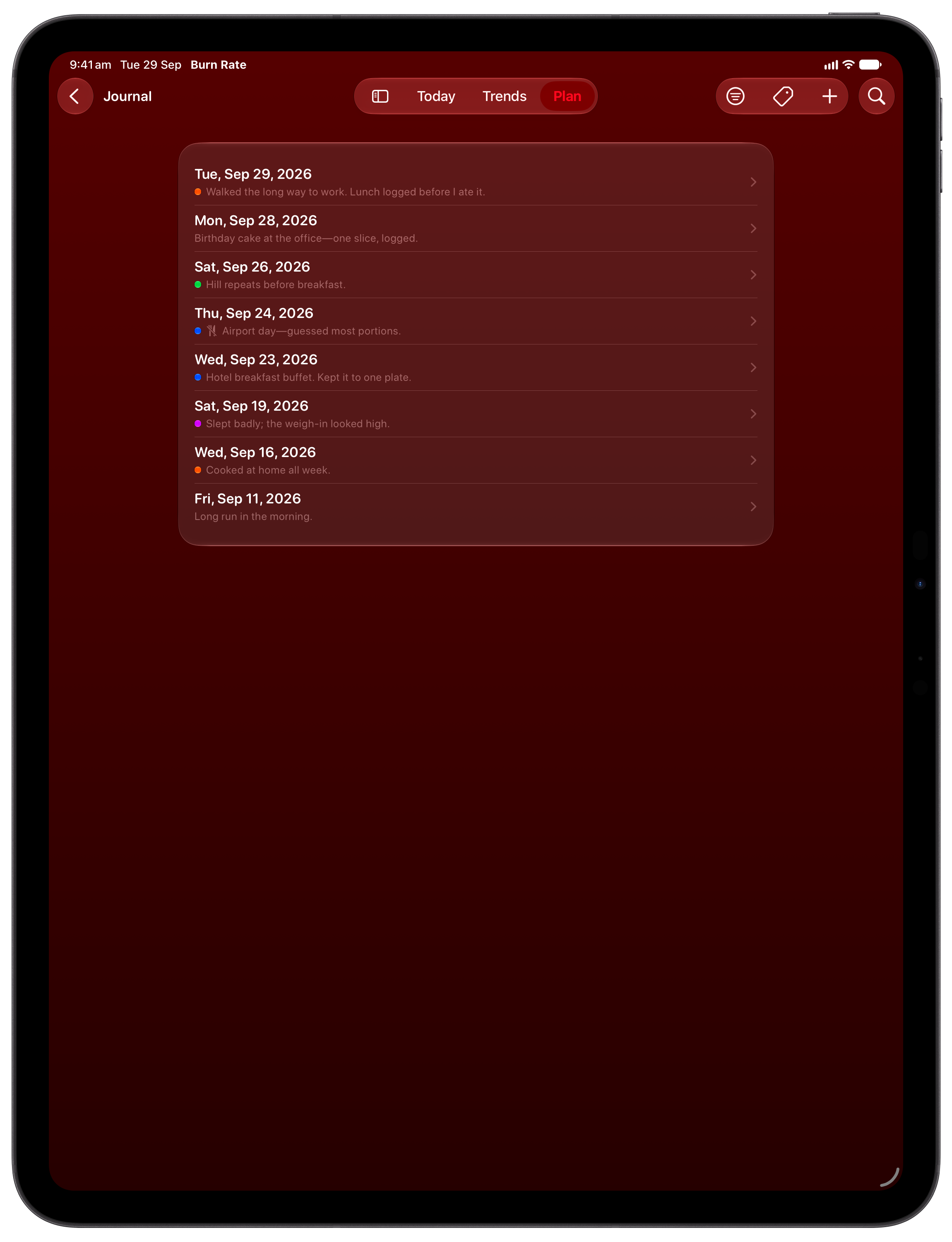 Burn Rate on iPad Pro 13-inch showing Journal in the Red tint, dark appearance.