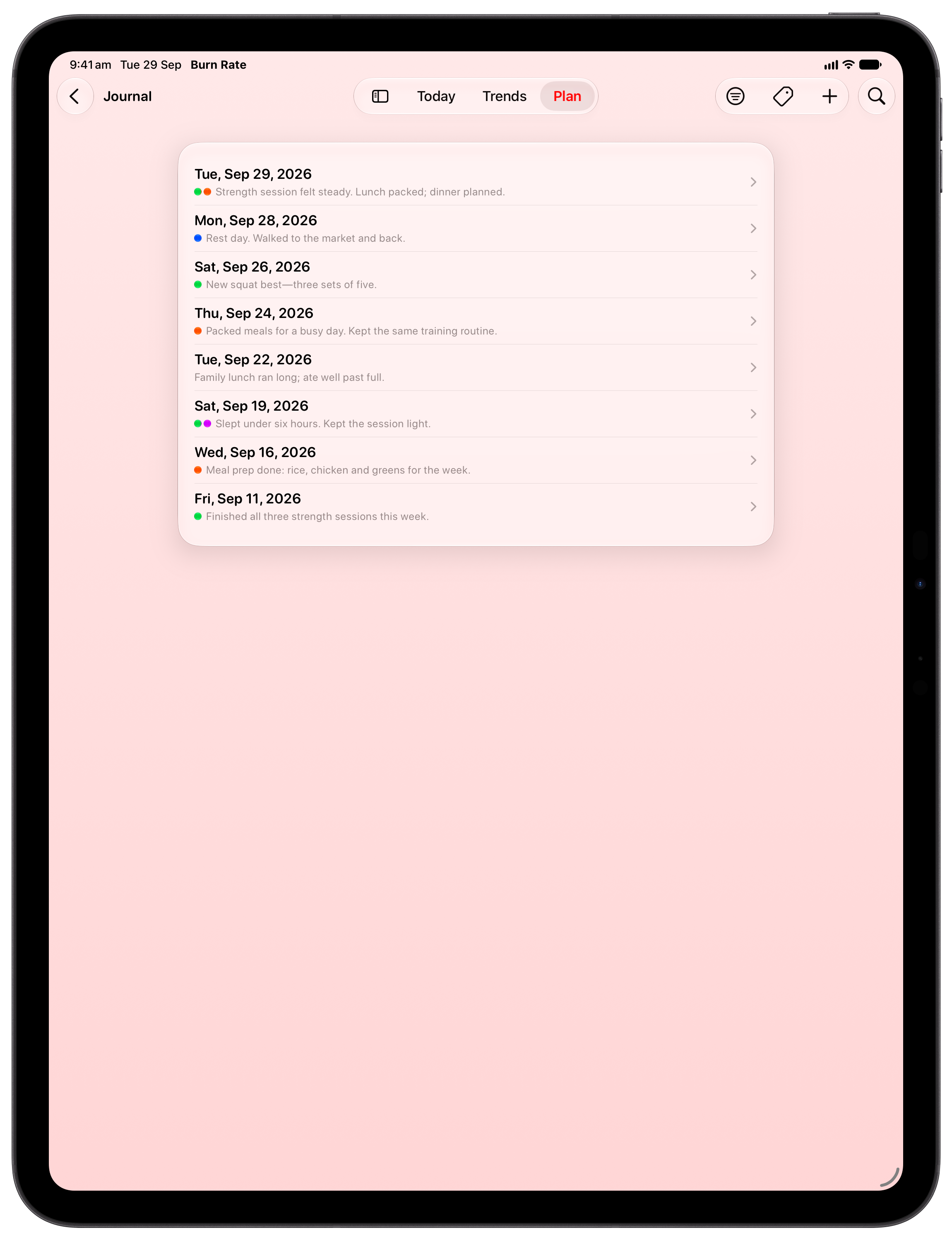 Burn Rate on iPad Pro 13-inch showing Journal in the Red tint, light appearance.