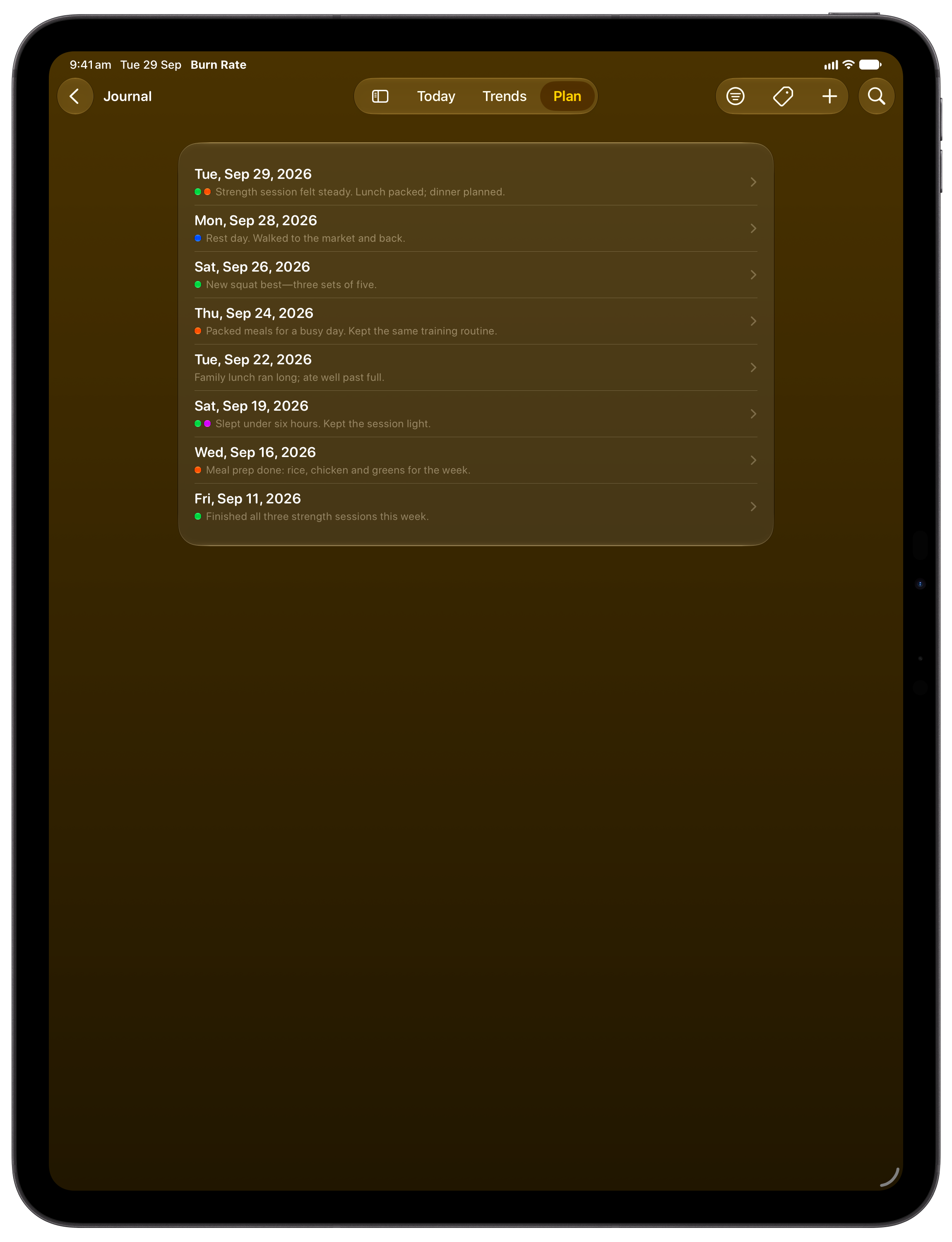 Burn Rate on iPad Pro 13-inch showing Journal in the Yellow tint, dark appearance.