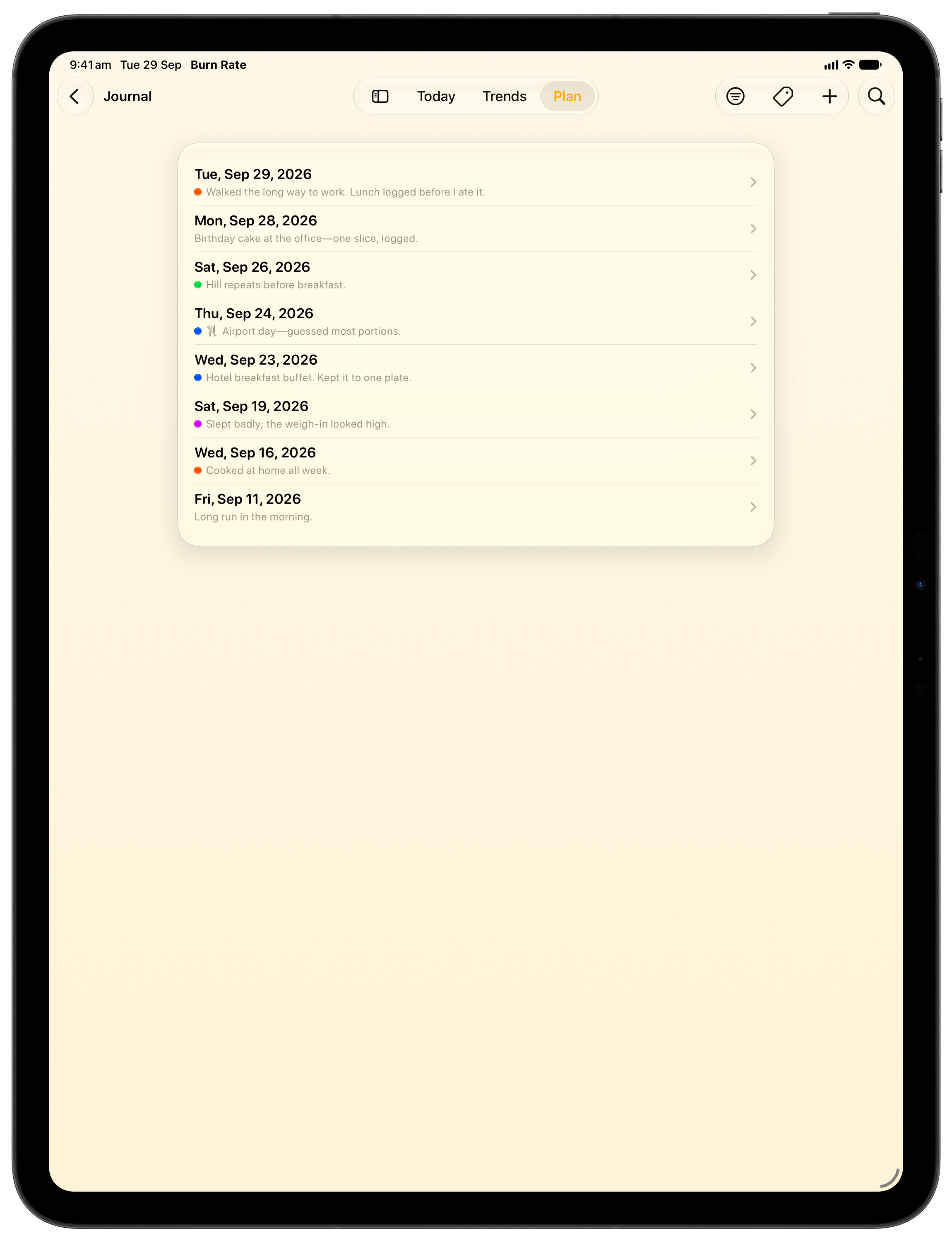 Burn Rate on iPad Pro 13-inch showing Journal in the Yellow tint, light appearance.