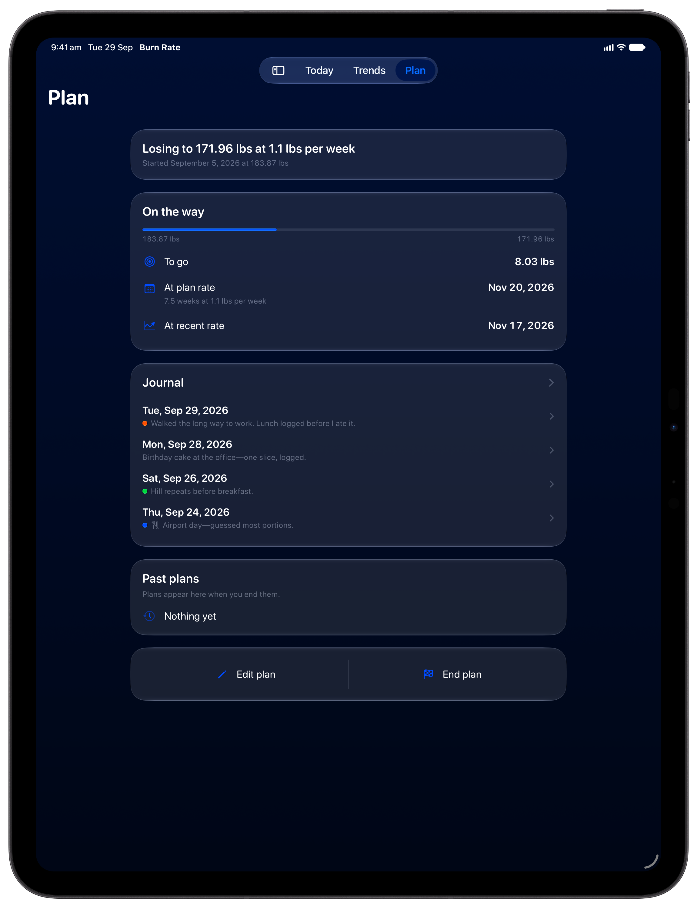 Burn Rate on iPad Pro 13-inch showing Plan in the Blue tint, dark appearance.