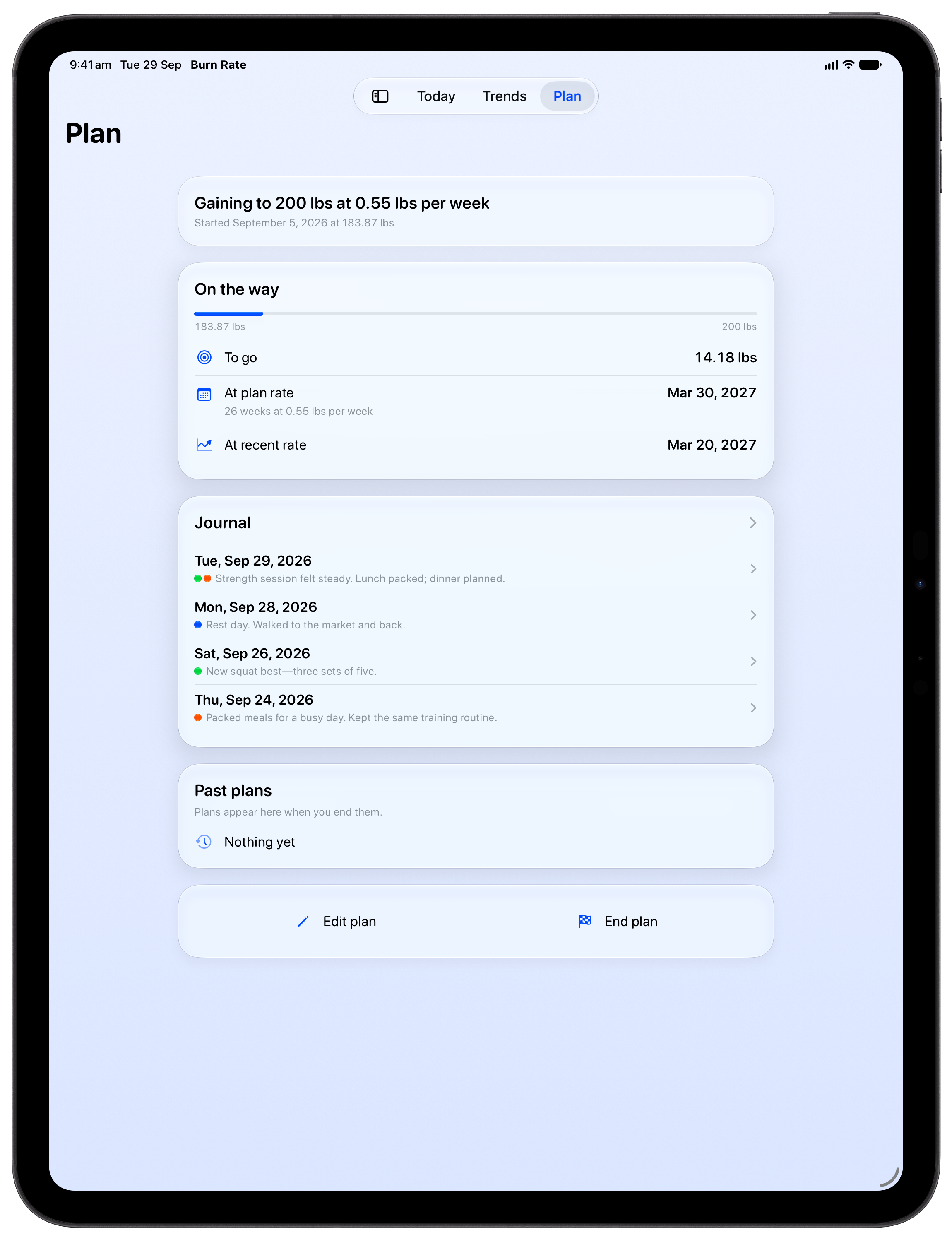 Burn Rate on iPad Pro 13-inch showing Plan in the Blue tint, light appearance.